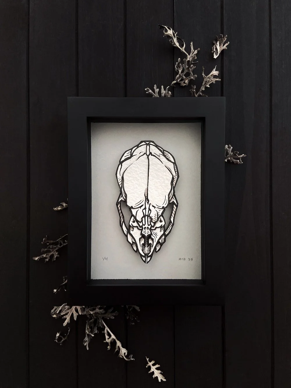 Product Original Stock's Vampire Bat Flatlay.jpg