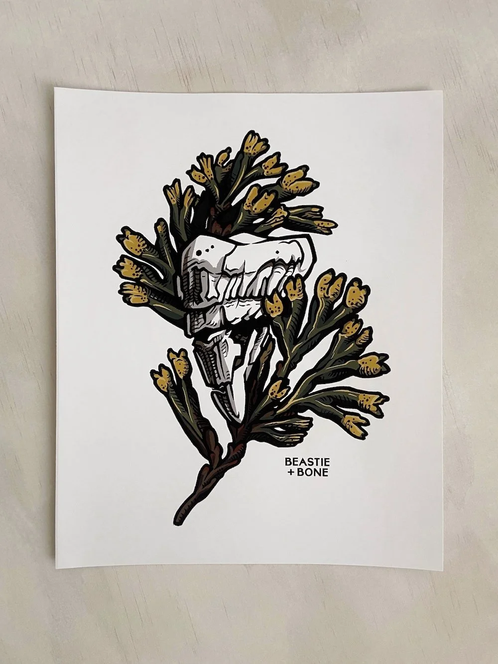 Spiketooth 8"x10" Fine Art Print