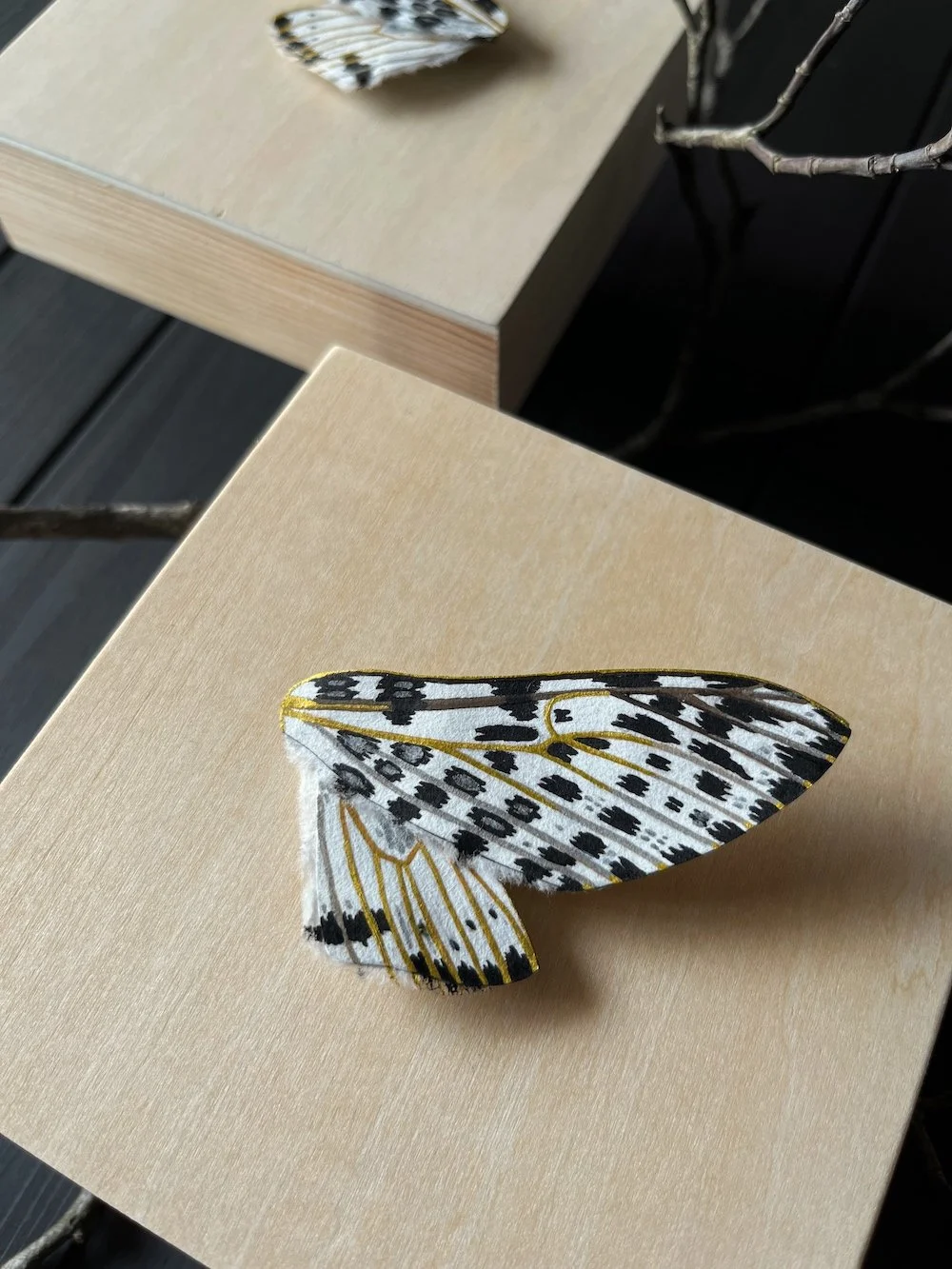 Flutter and Float Flatlay Closeup.jpg