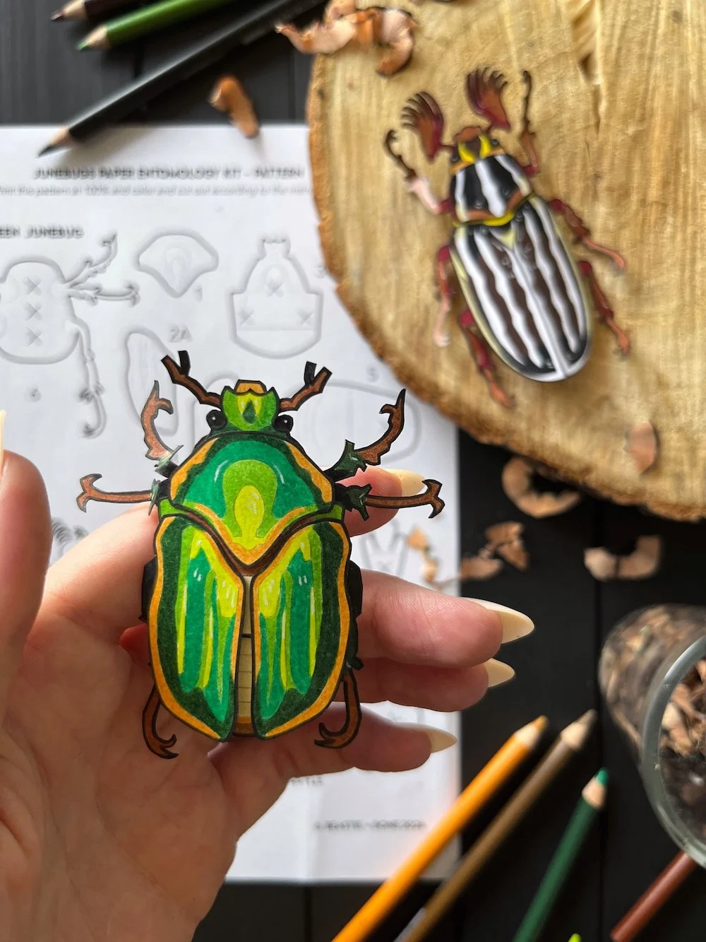 Junebugs Kit Flatlay 2.jpg