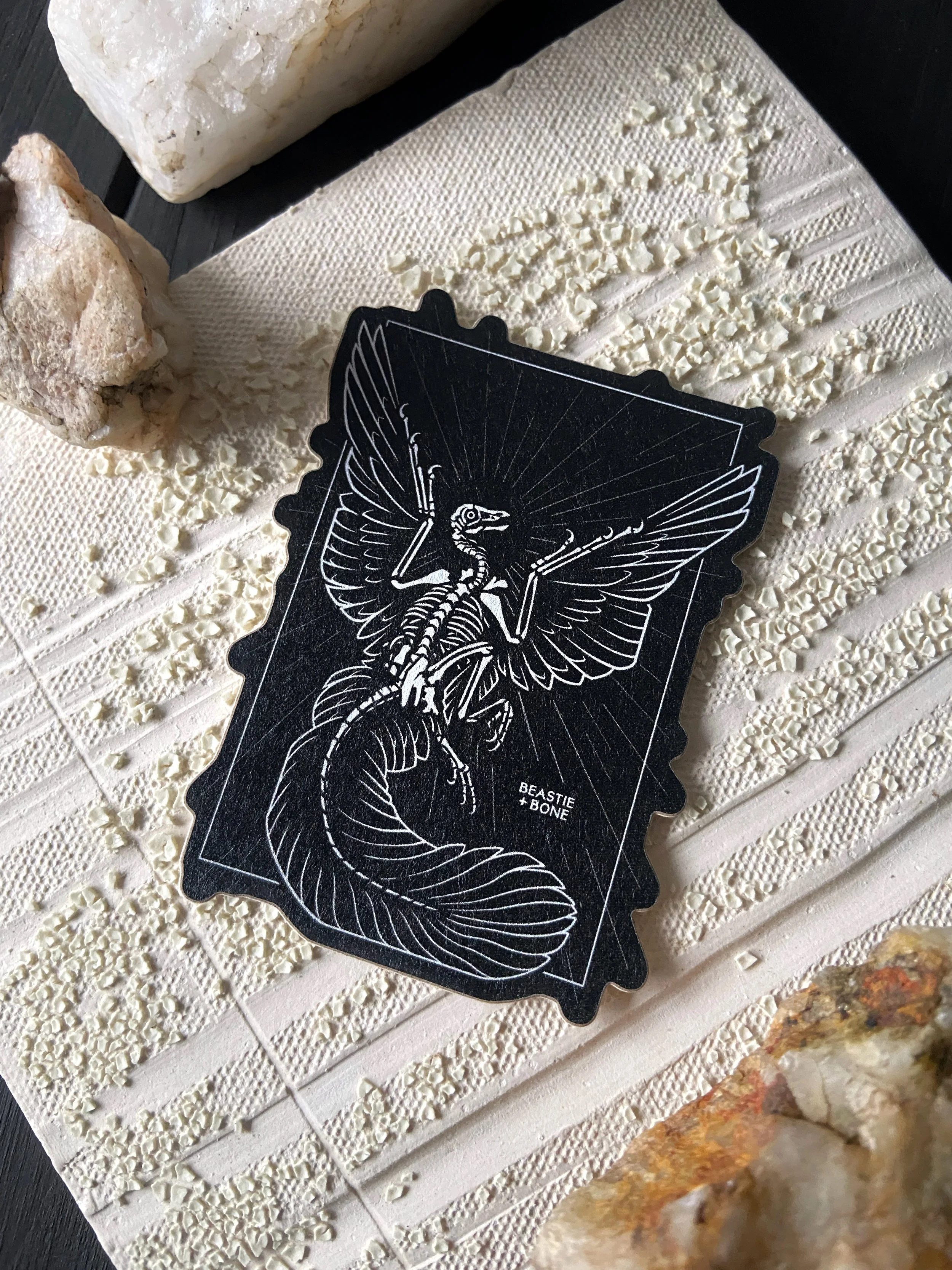Archaeopteryx Angel Sticker Flatlay Angled.jpg