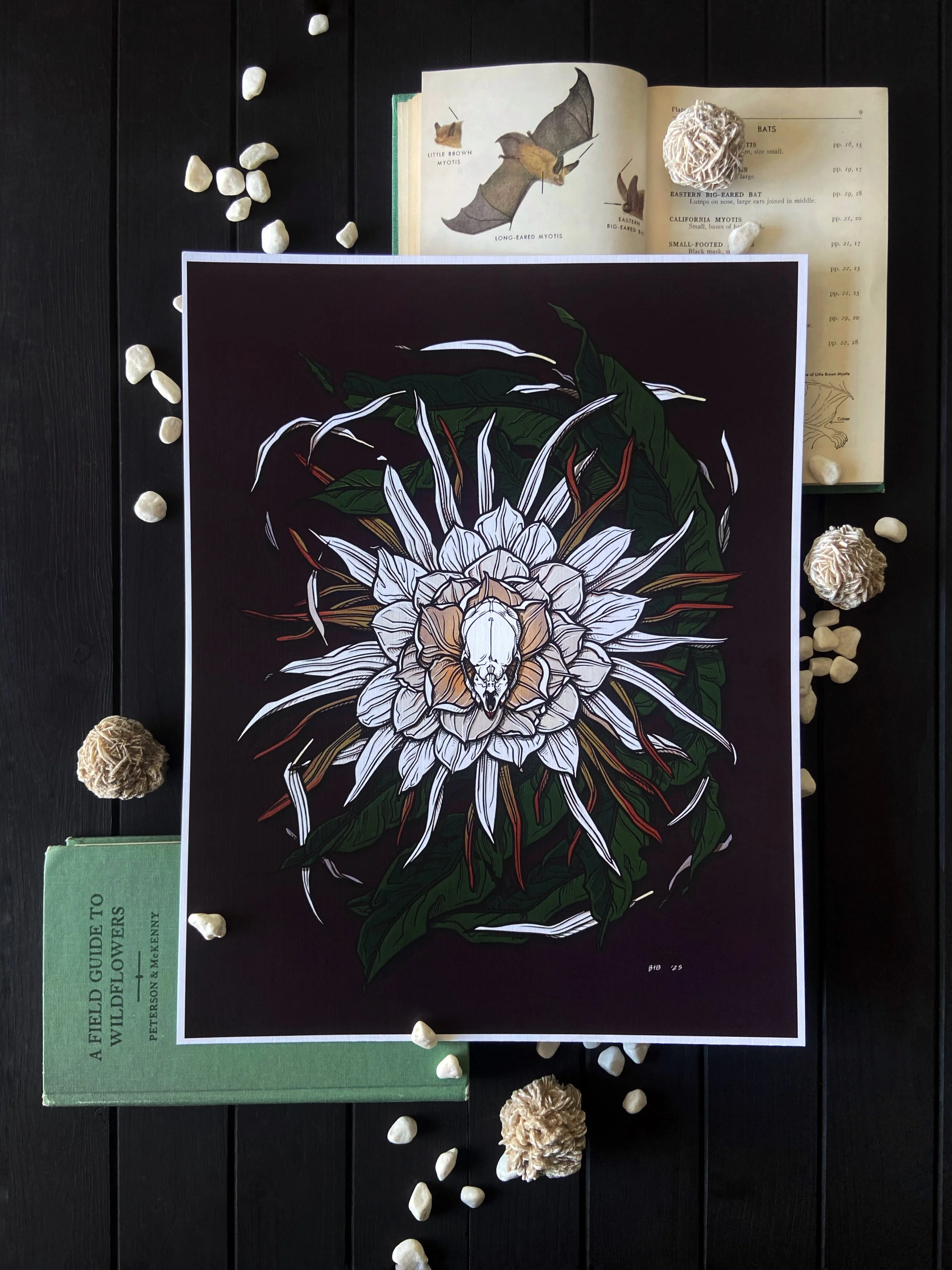 It Thirsts At Night Print Flatlay.jpg