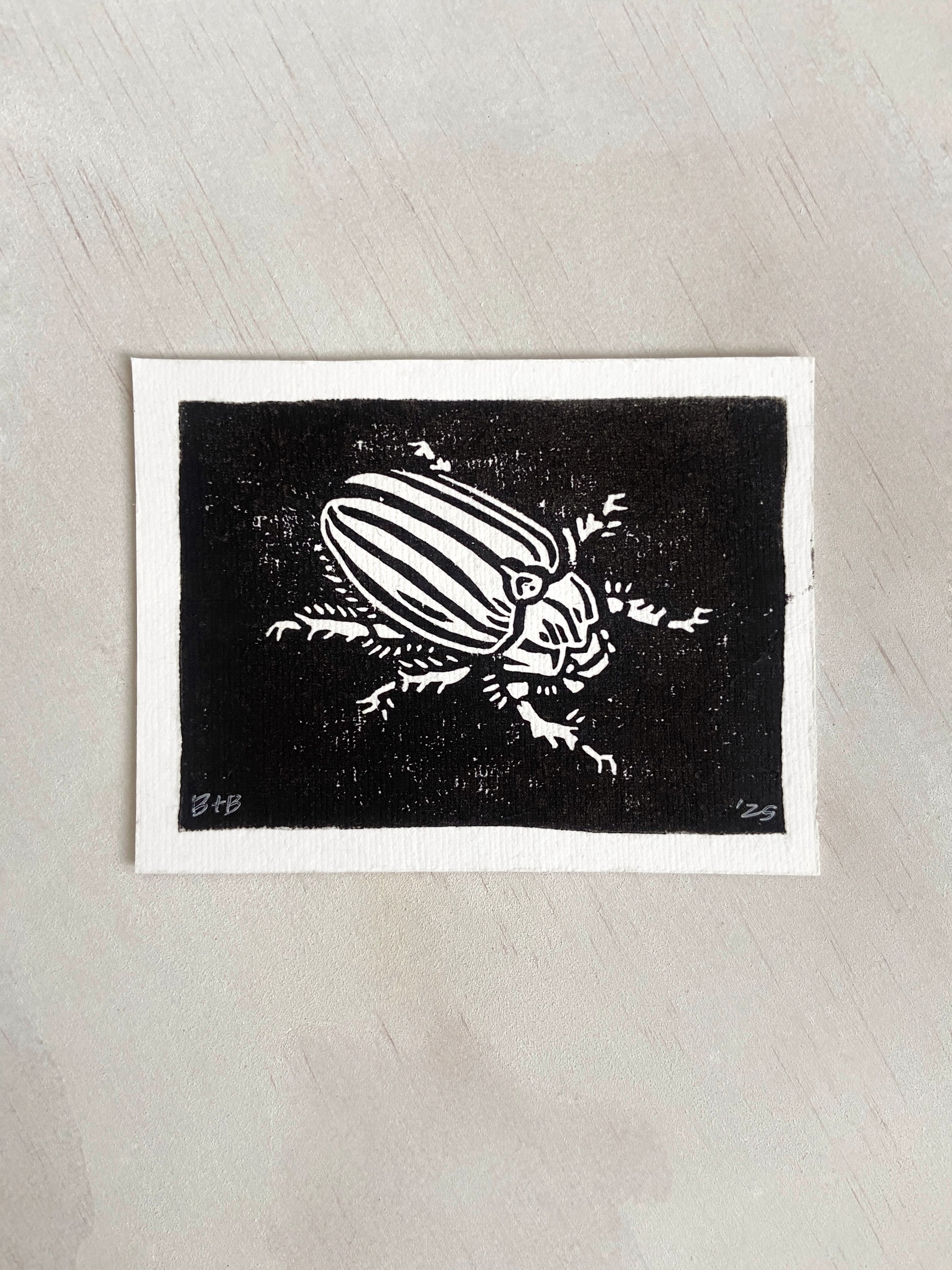 Junebug Linocut Tinyprint