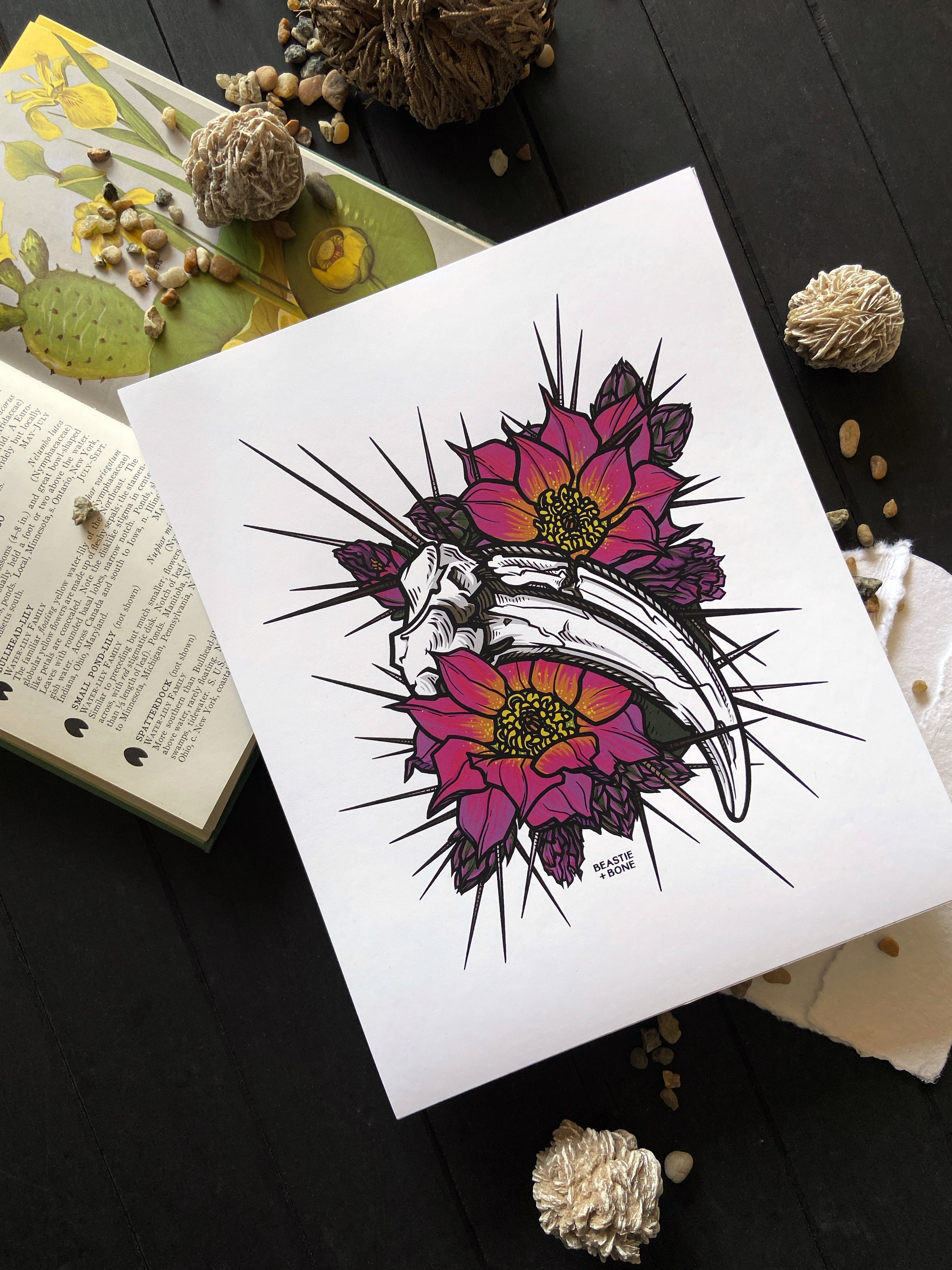 Desert Daggers Illustration Flatlay 8x10 Angled.jpg