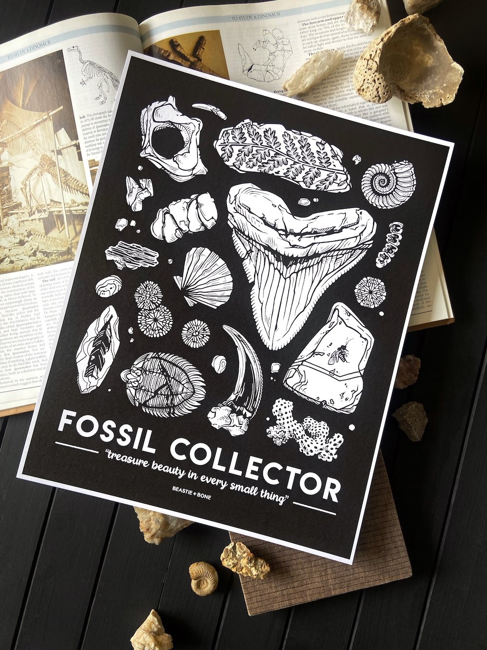 Fossil Collector 11x14 Flatlay Angled.jpg