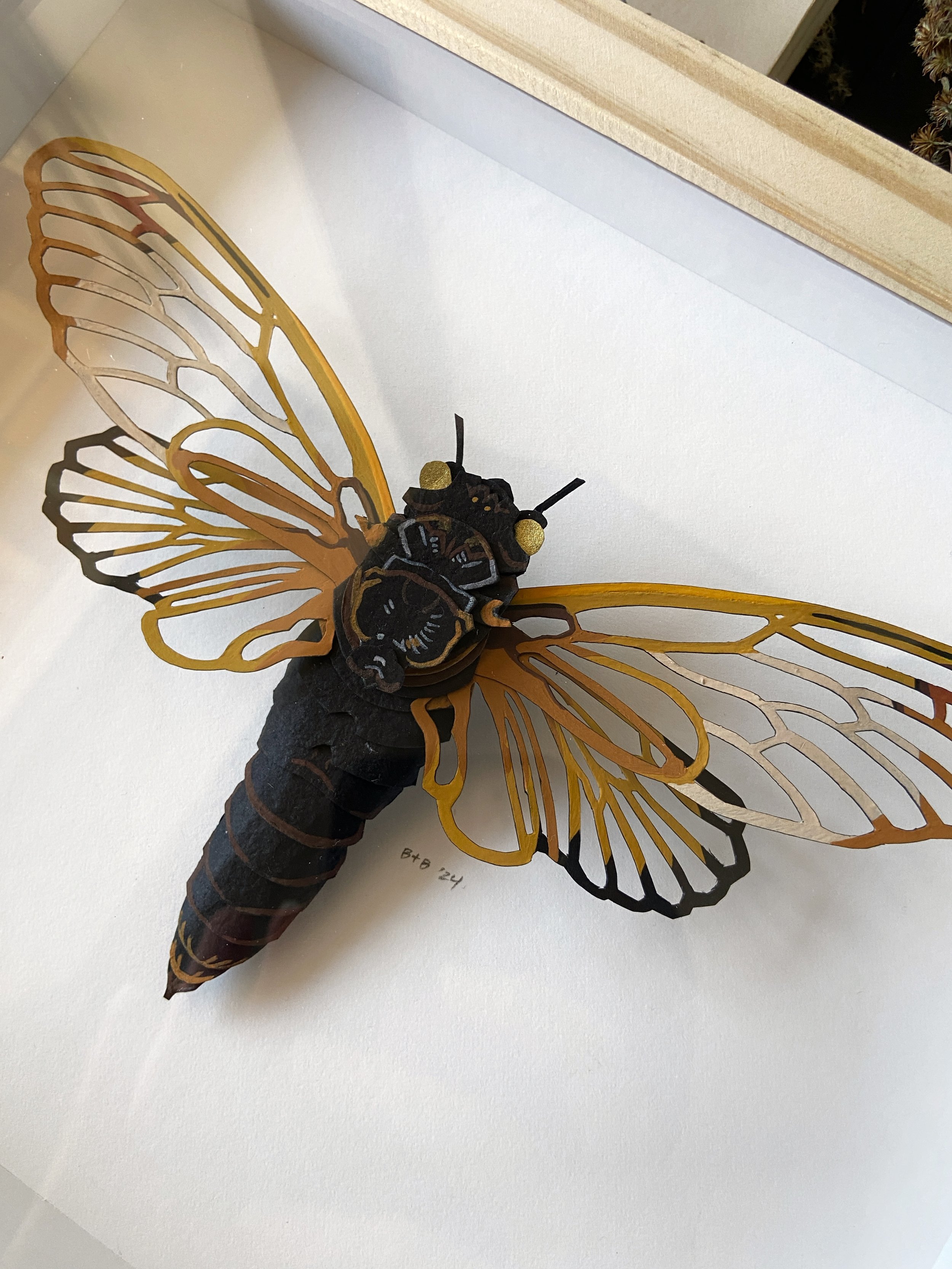Periodical Cicada I Paper Original Flatlay Closeup.jpg