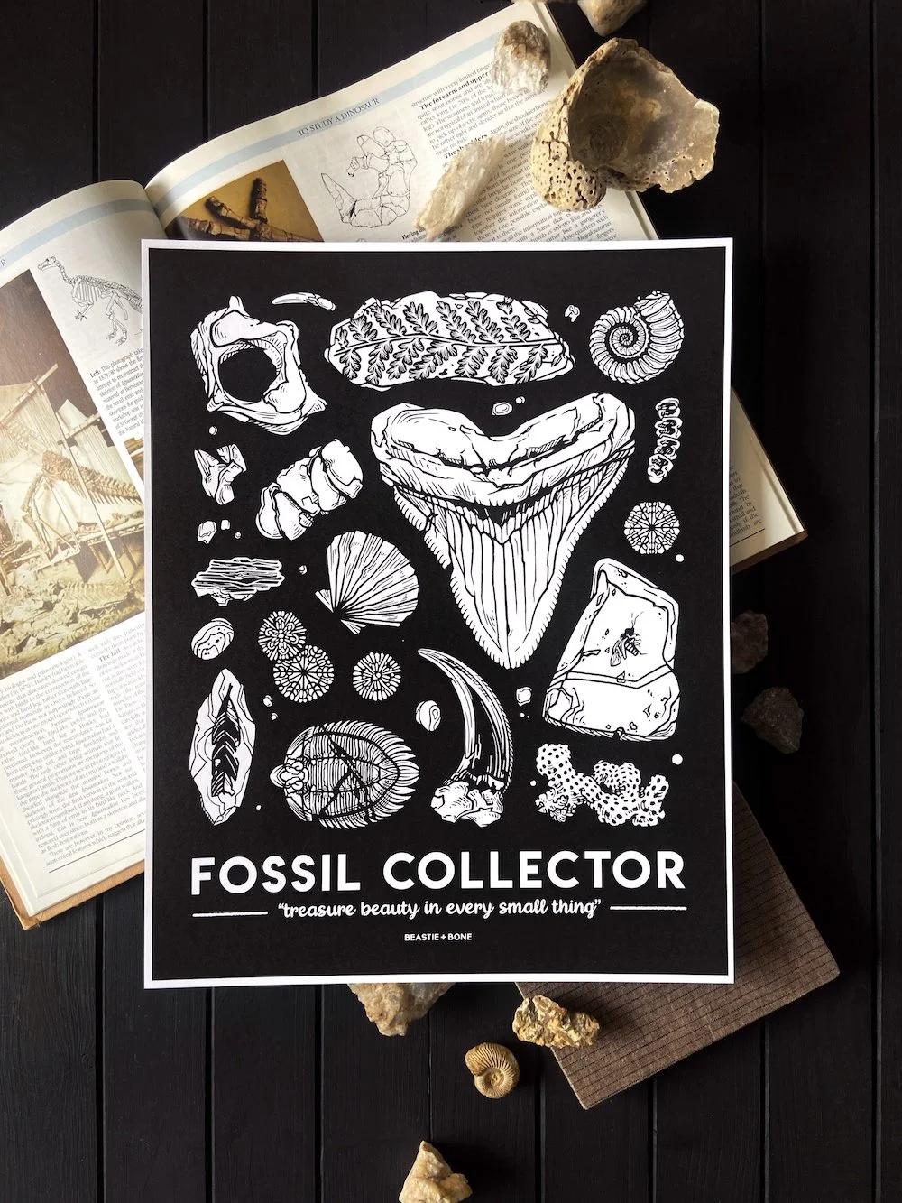 Fossil Collector Recycled Paper Print