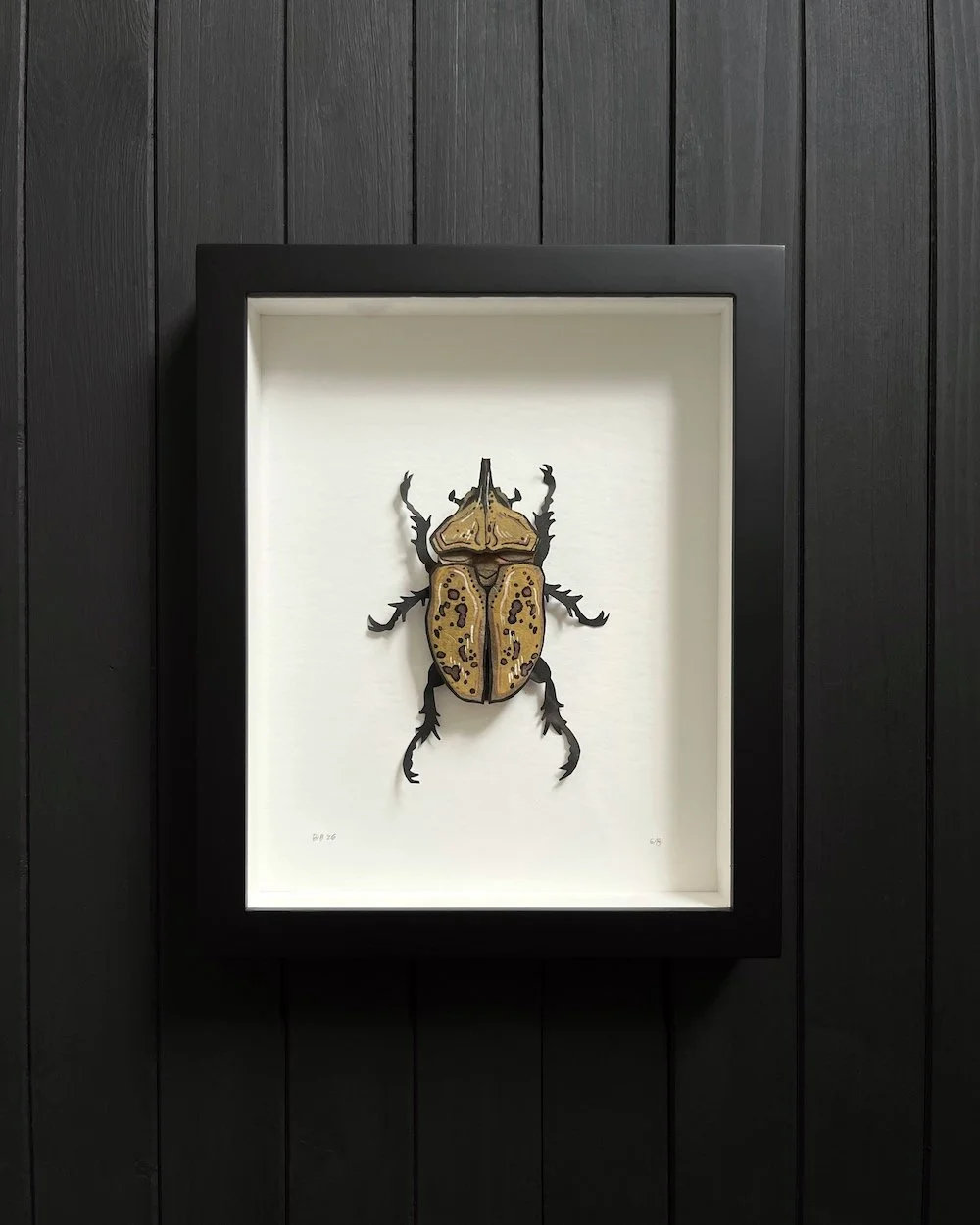 Herculean Gold 6:8 Product Photo Web.jpg