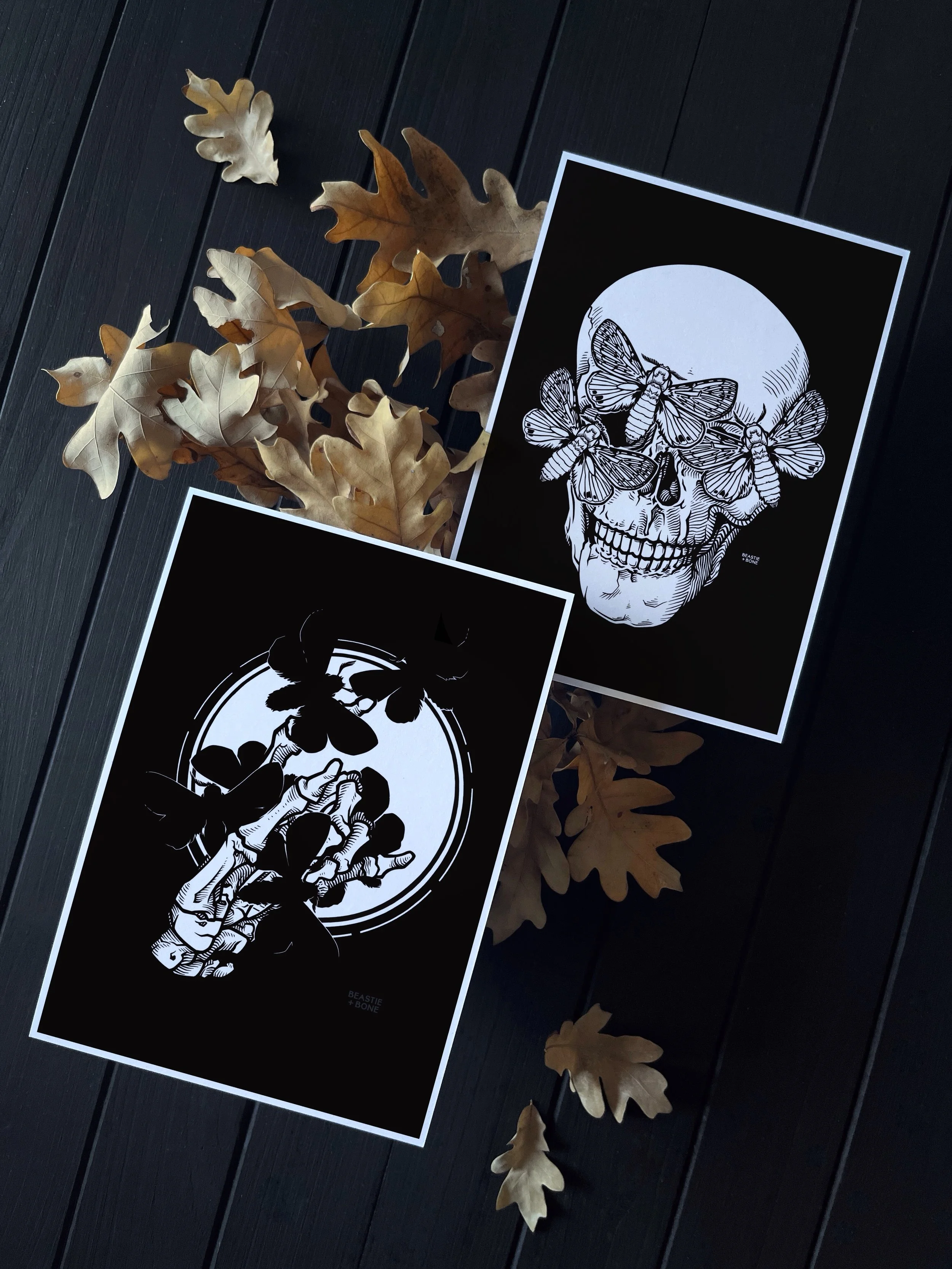 Memento Mori Moths Flatlay Angled.jpg