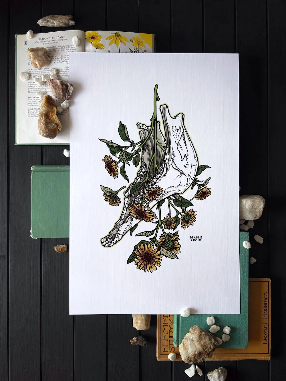 Sequestered In Bloom  Illustrated  Art Print