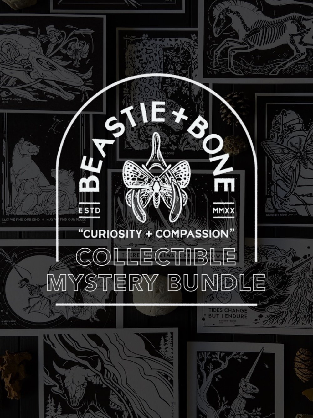 Patreon Mystery Bundle Graphic.jpg