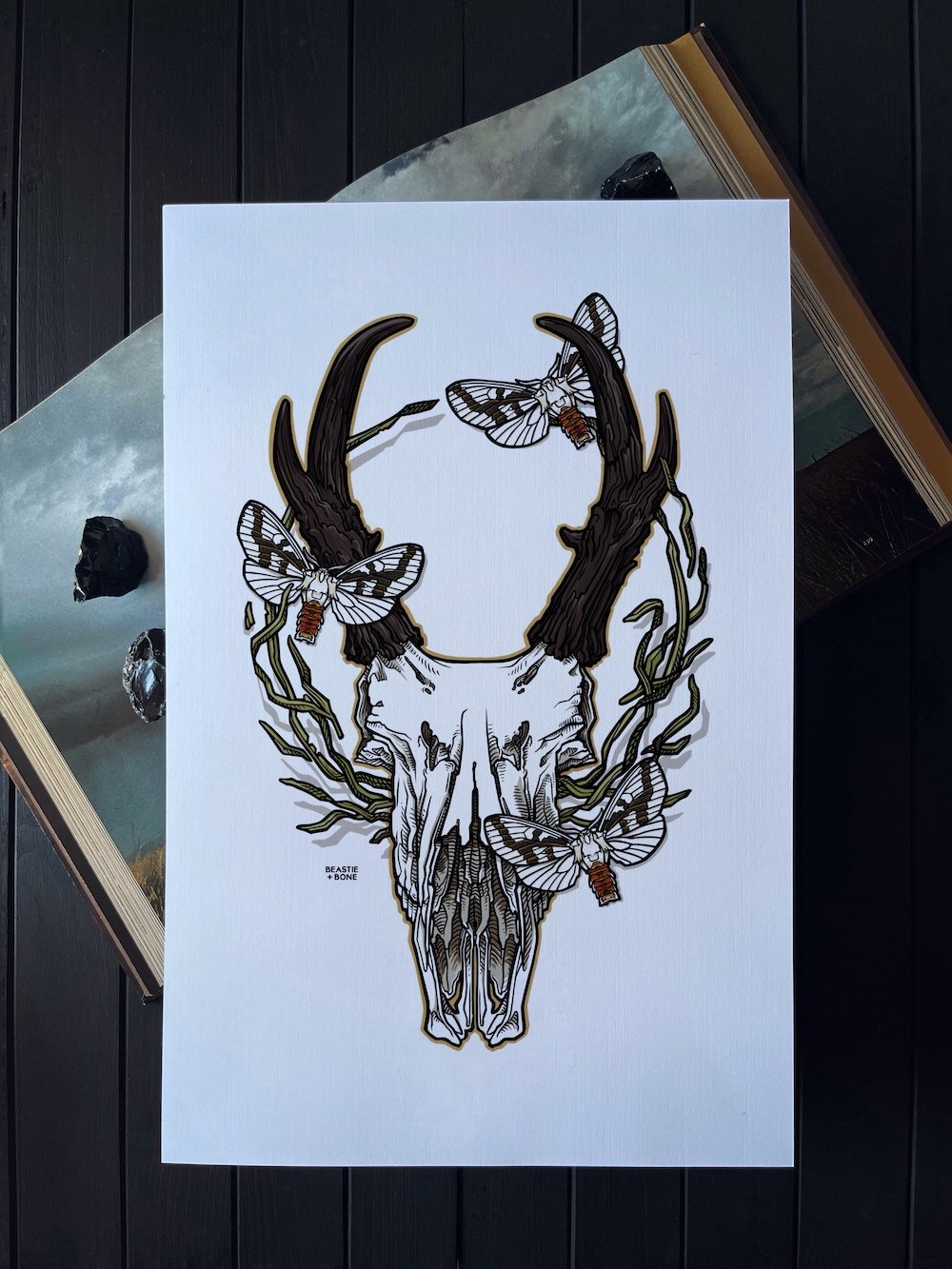 Lightseekers (Pronghorn Skull) Illustrated Art Print