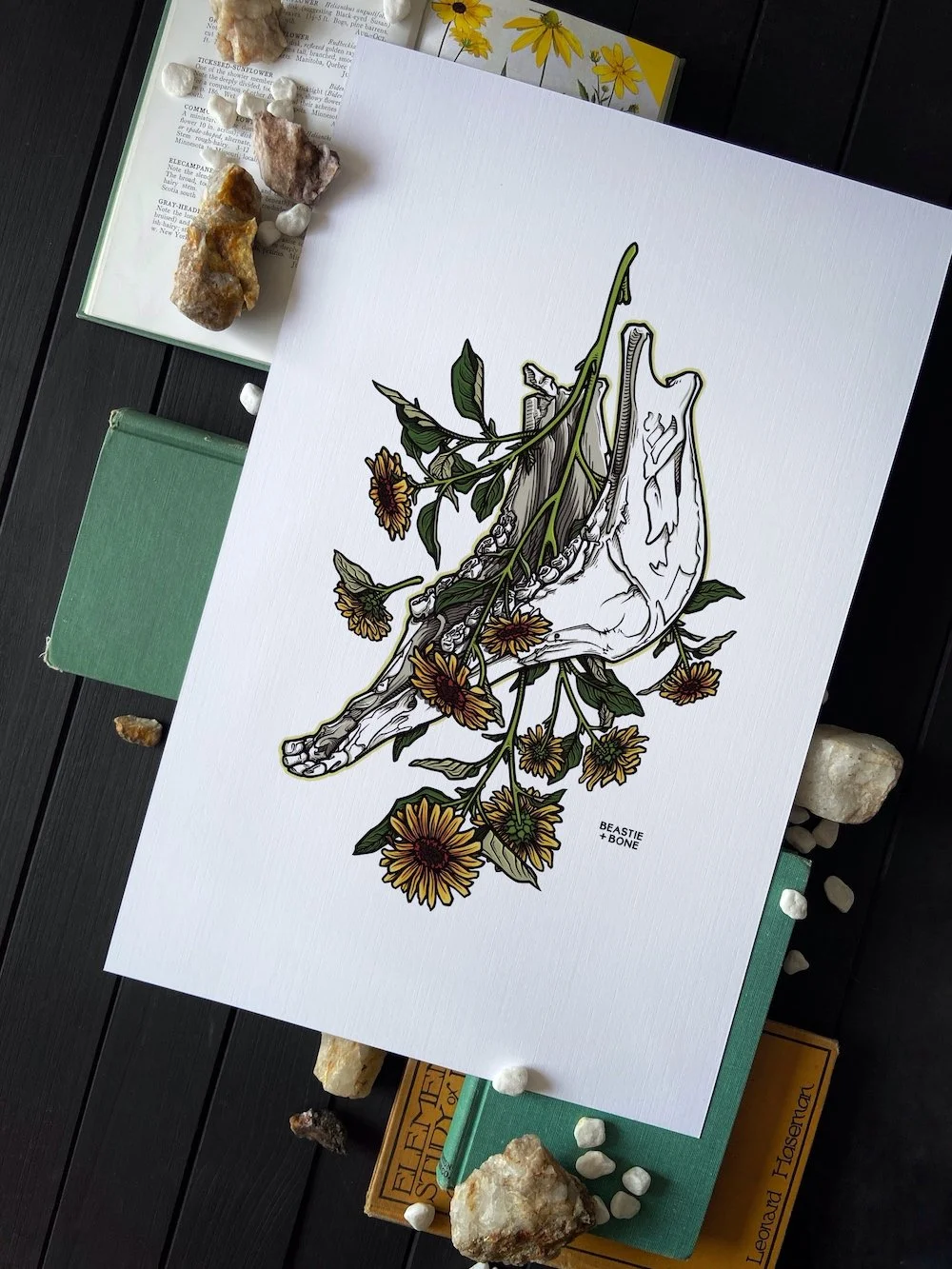 Sequestered In Bloom Print Flatlay for Web Angled.jpg