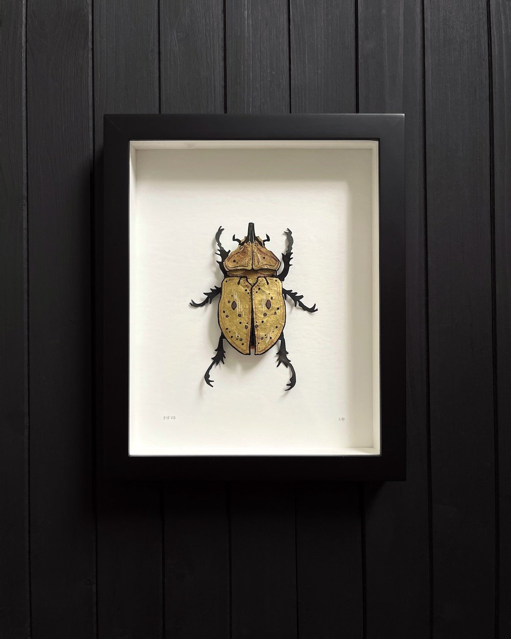 Herculean Gold 5:8 Product Photo Web.jpg