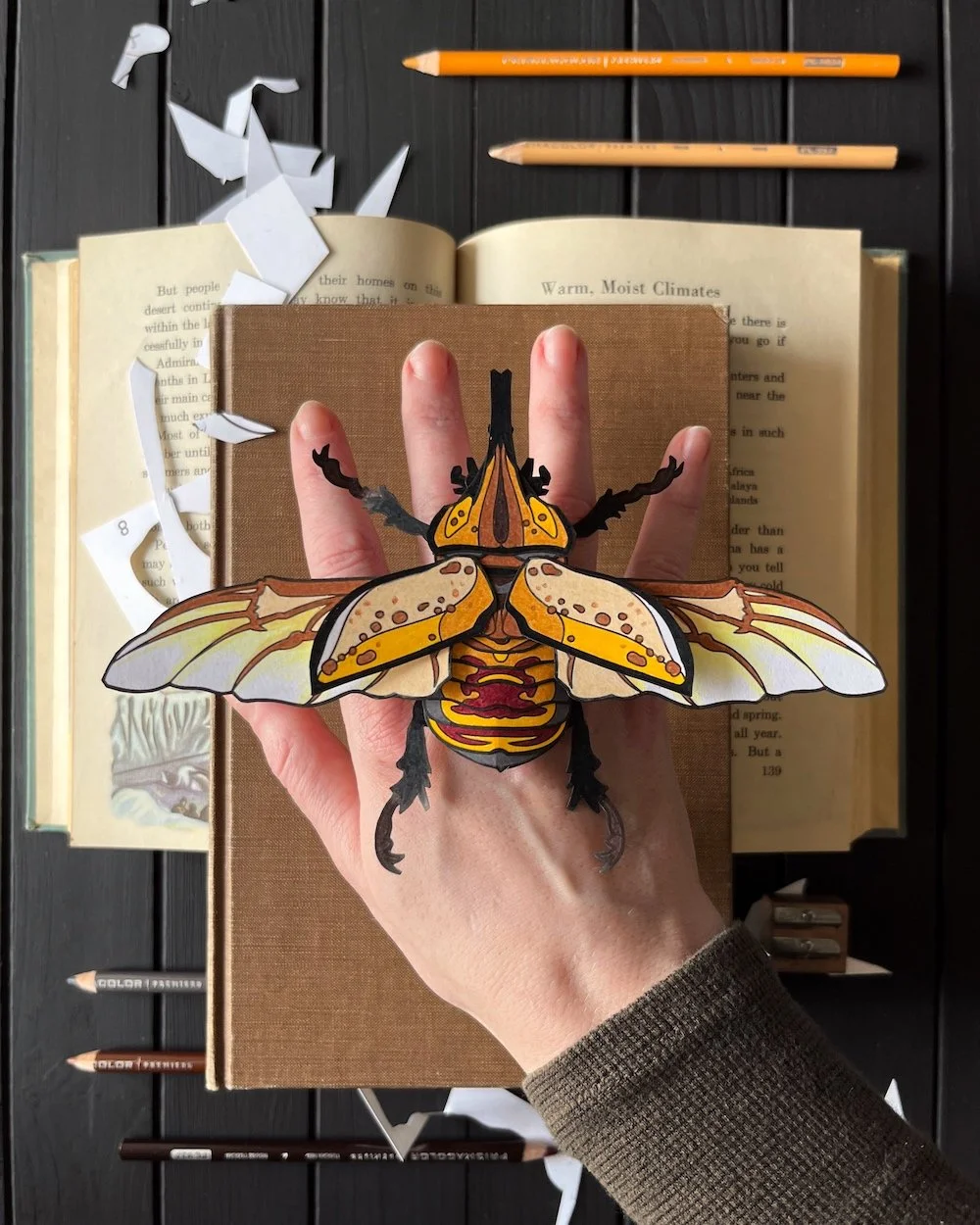 Eastern Hercules Beetle Downloadable Paper Art Kit Flatlay copy.jpg