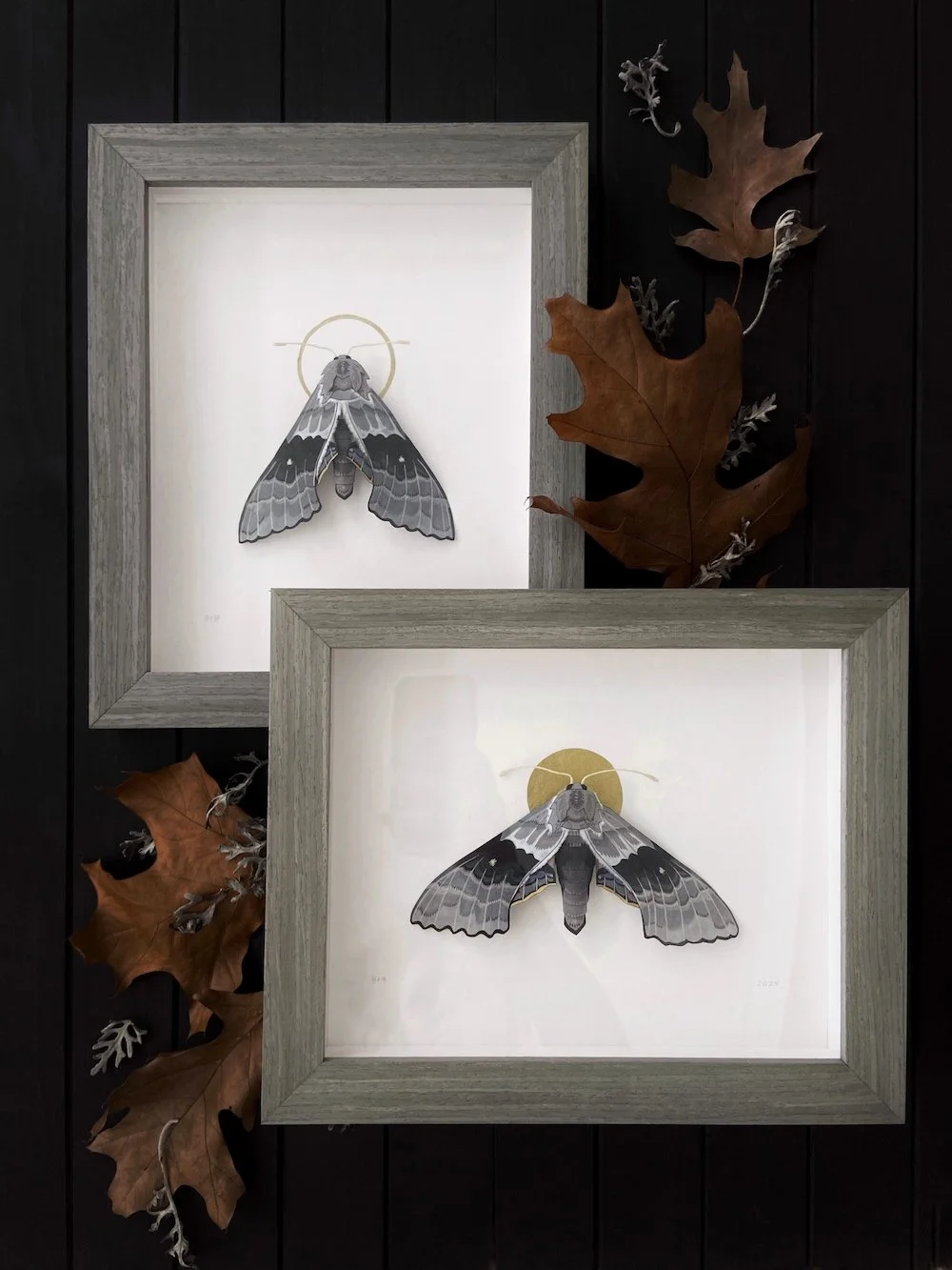 Product Original Modest Sphinx Moths I and II Flatlay.jpg