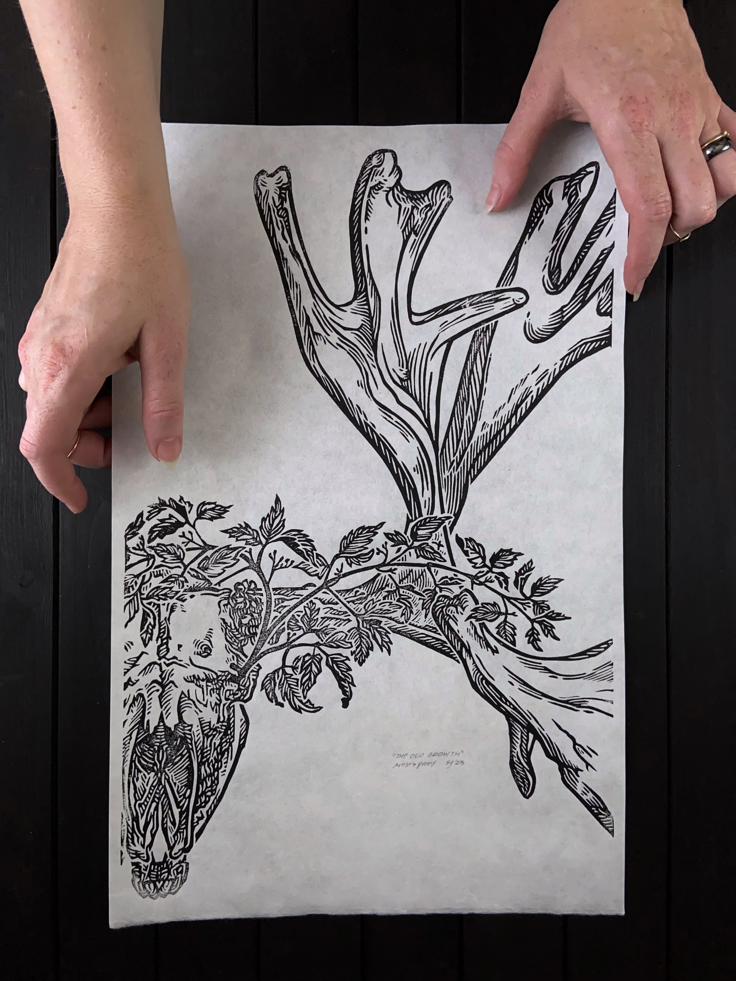 The Old Growth Artist's Proof.jpg
