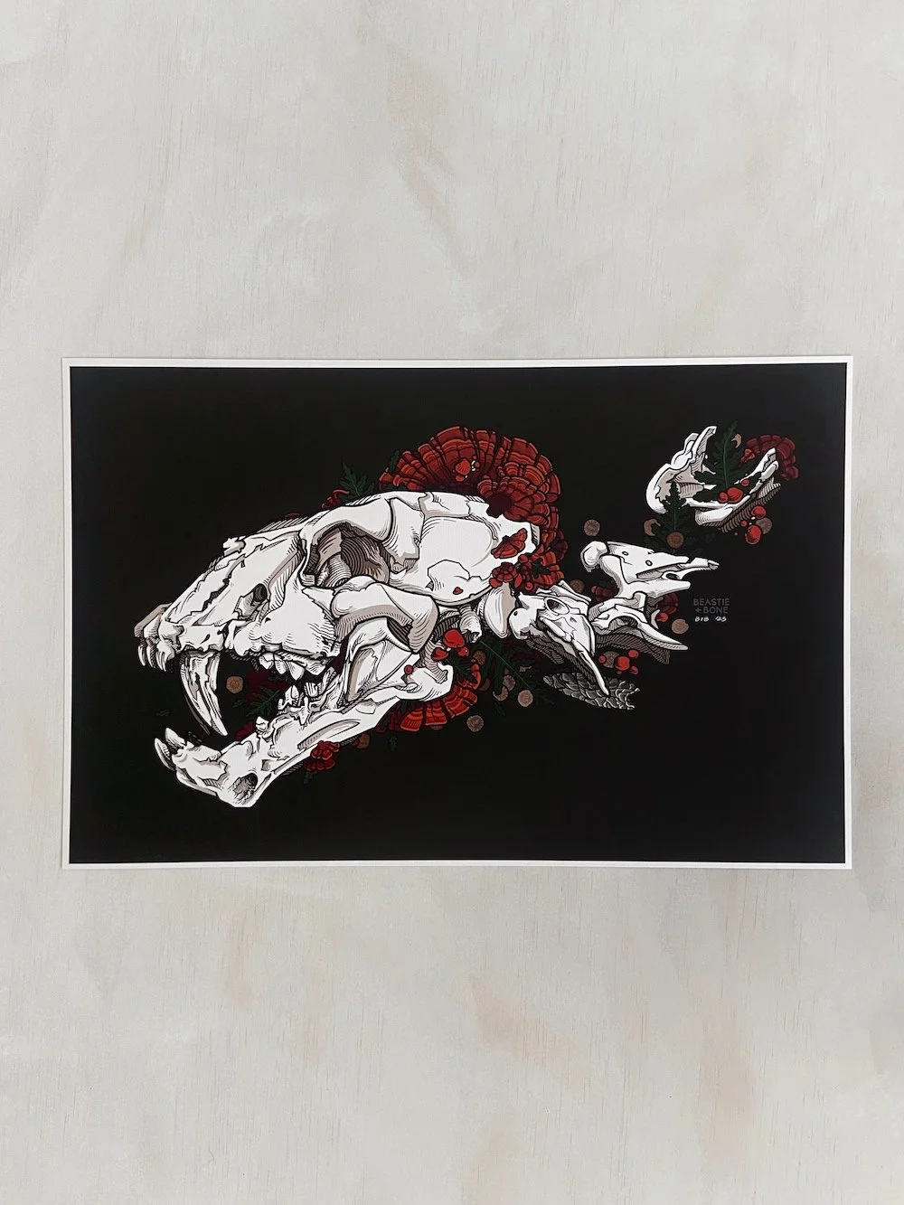 Once In Appalachia Fine Art Print