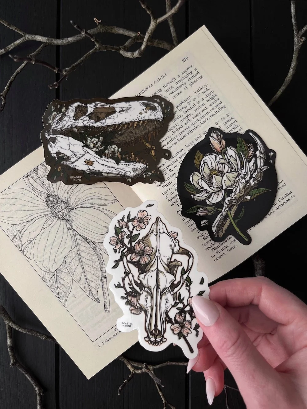 Spring 2026 Sticker Bundle Flatlay Web.jpg