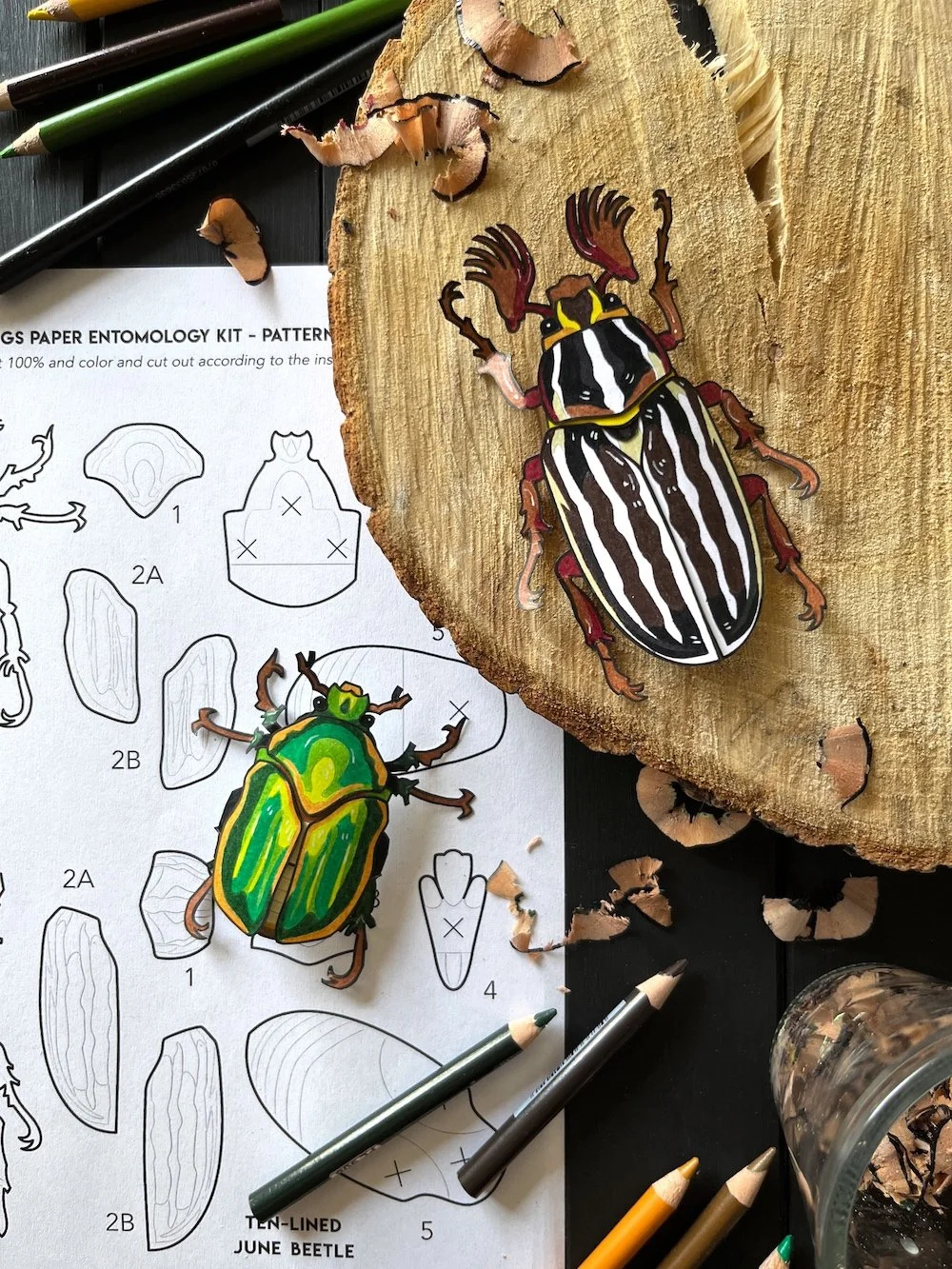 Junebugs Kit Flatlay 4.jpg
