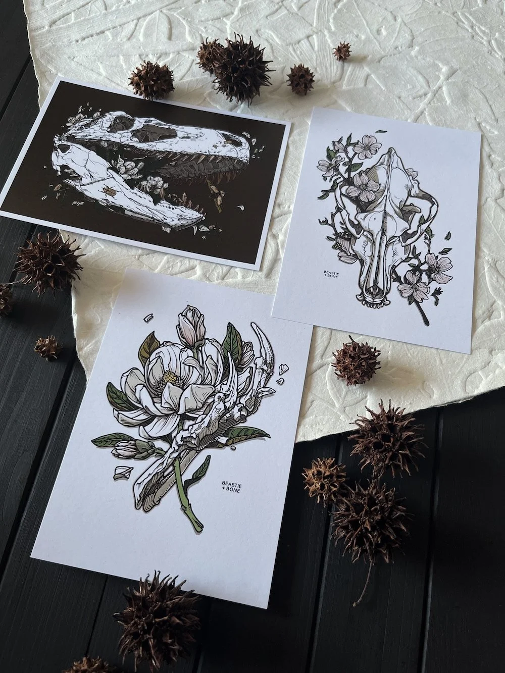 Southeastern Fossils Miniprint Set Angled.jpg