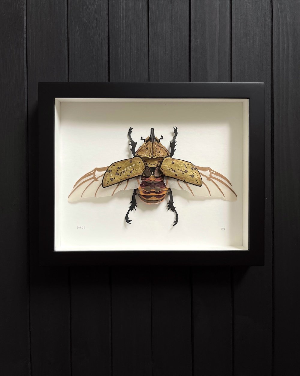 Herculean Gold 7:8 Product Photo Web.jpg