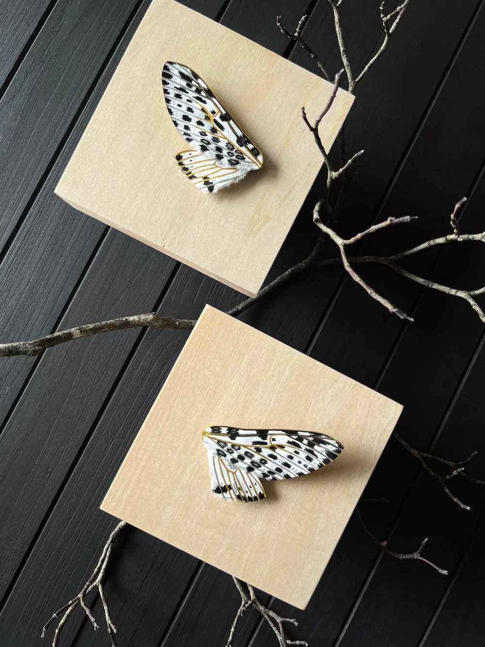 Flutter and Float Flatlay Angled.jpg
