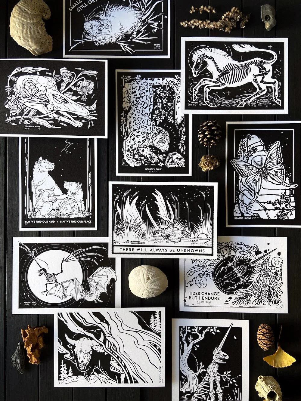Patreon Art Flatlay 2025.jpg