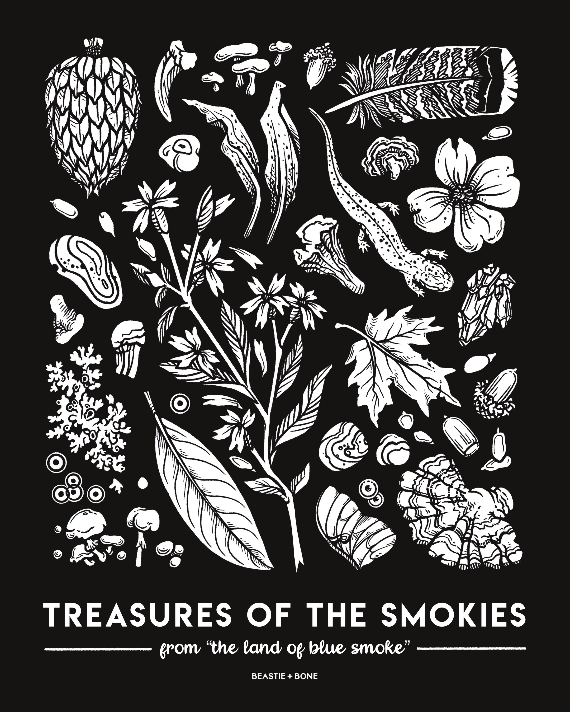 "Treasures of The Smokies" (2024)