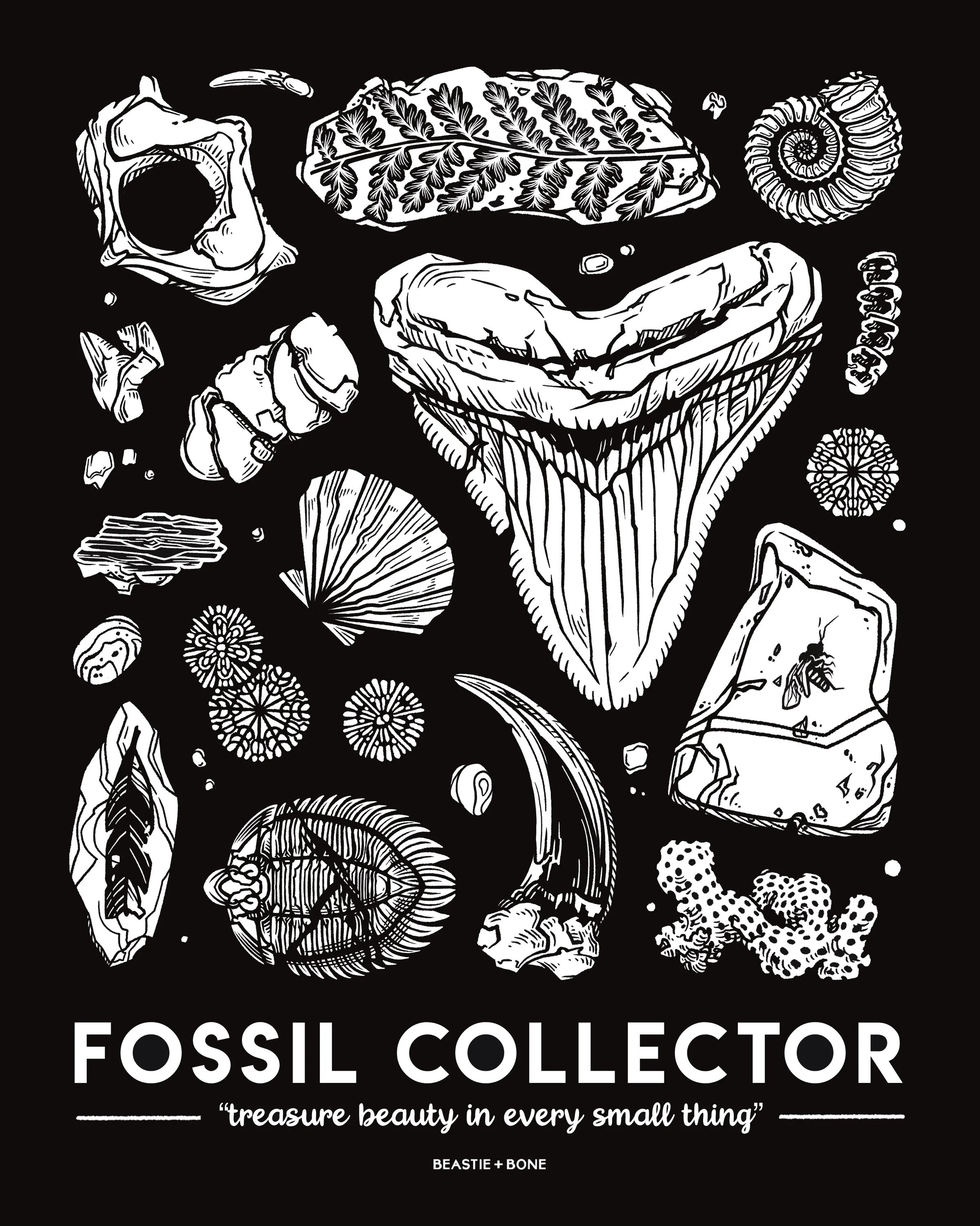 "Fossil Collector" 2025