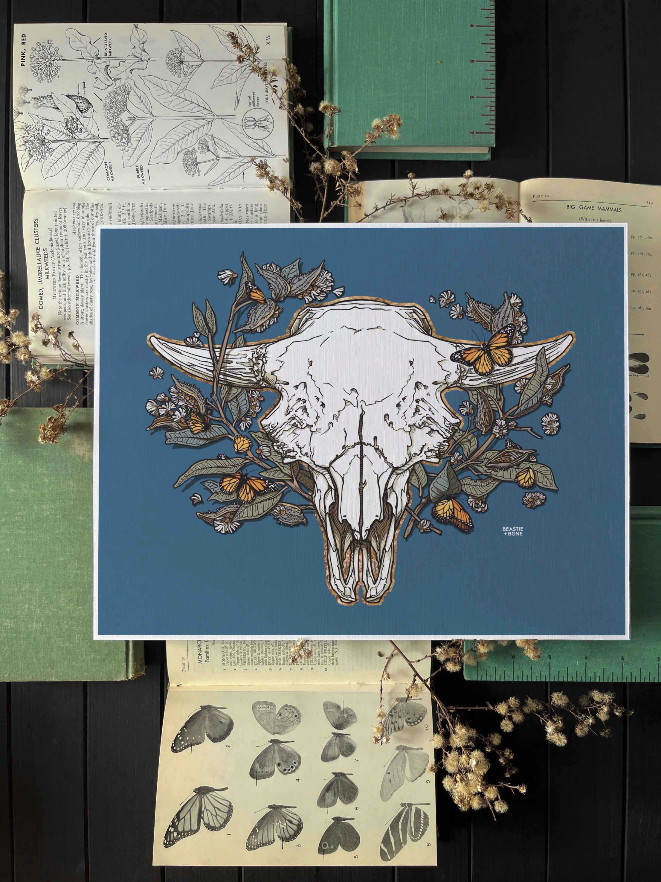 Ancient Monarch Collector's Edition Flatlay 2.JPG