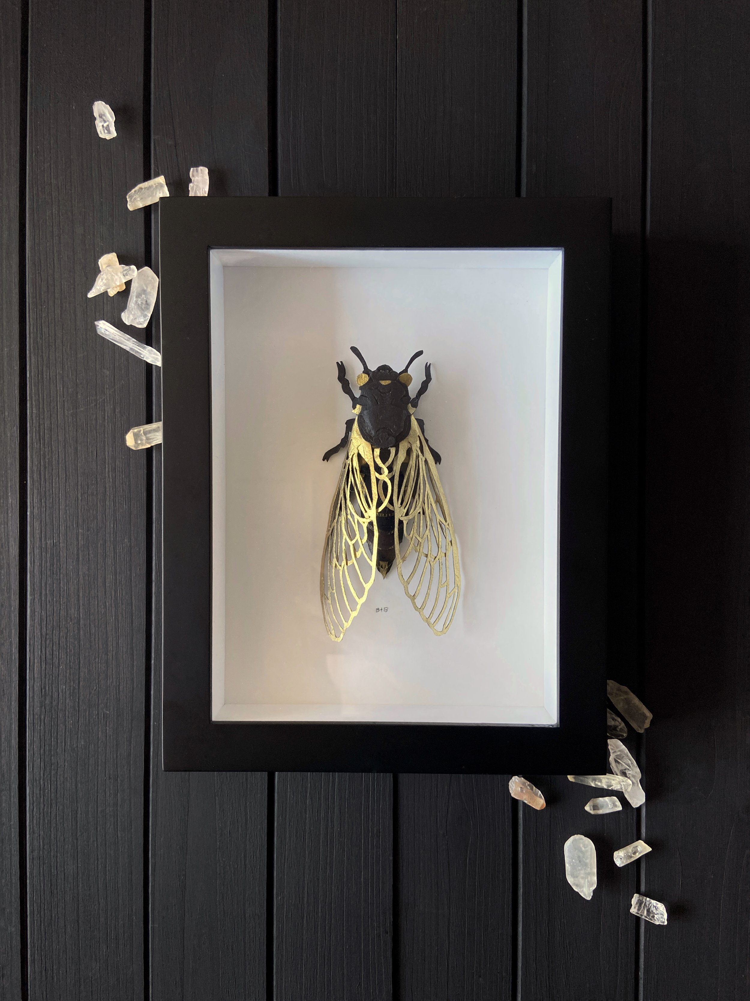 Wait In Gold Paper Cicada Flatlay.jpg