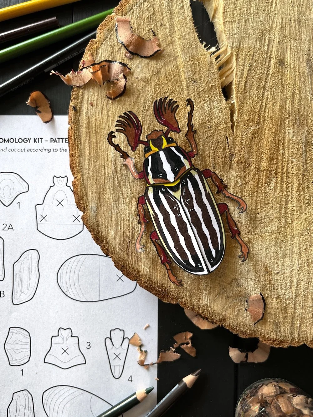 Junebugs Kit Flatlay 3.jpg