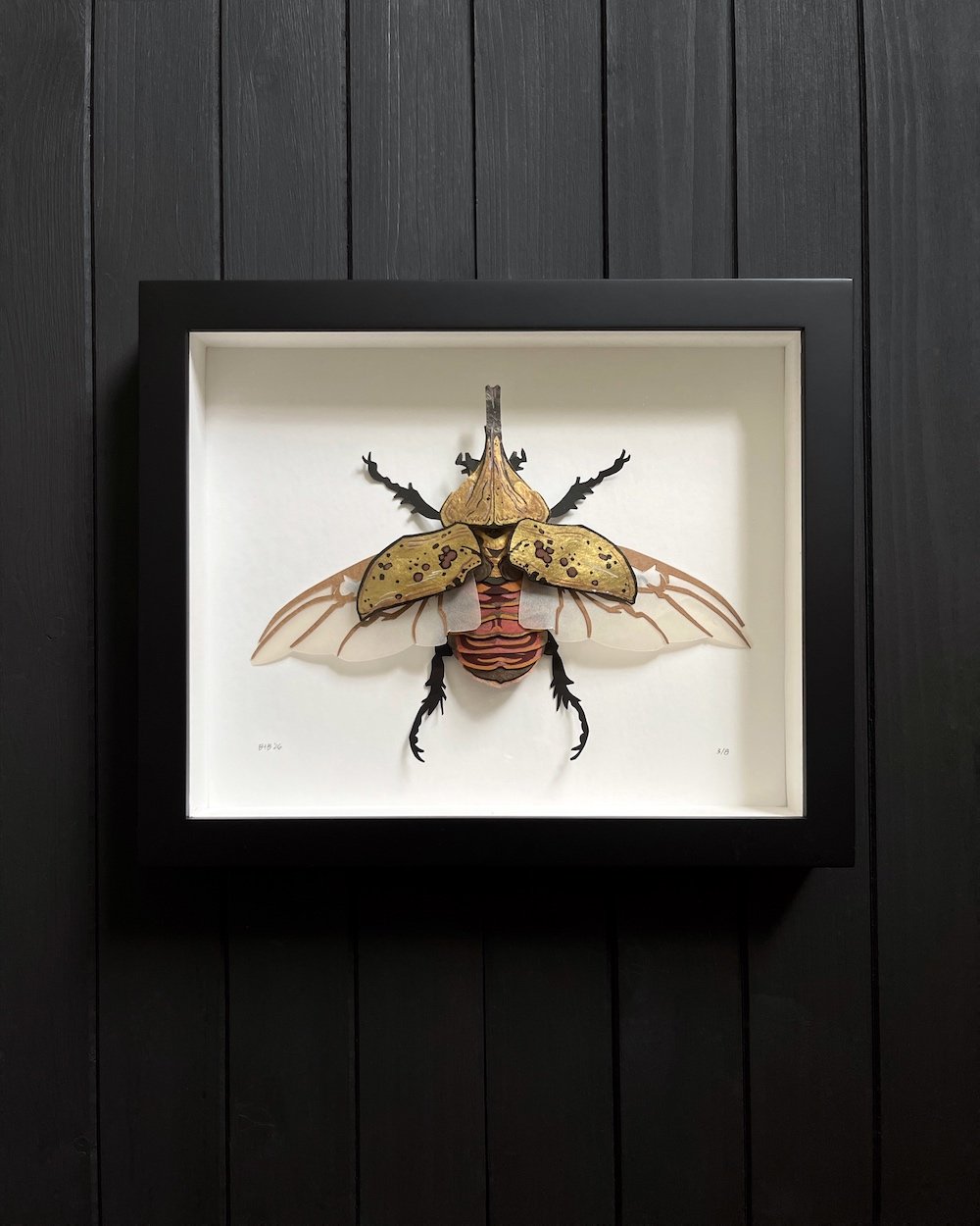 Herculean Gold 3:8 Product Photo Web.jpg