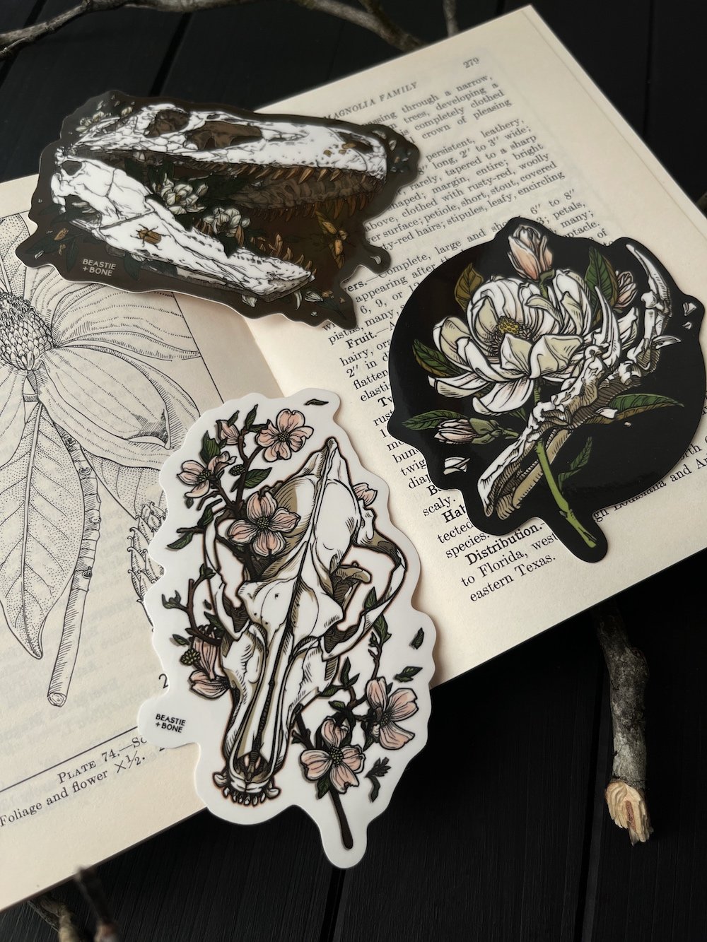 Spring 2026 Sticker Bundle Flatlay Closeup Web.jpg