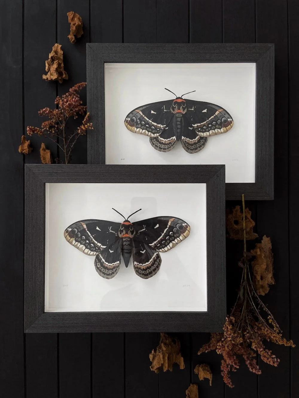 Product Original Calleta Moths I and II Flatlay.jpg
