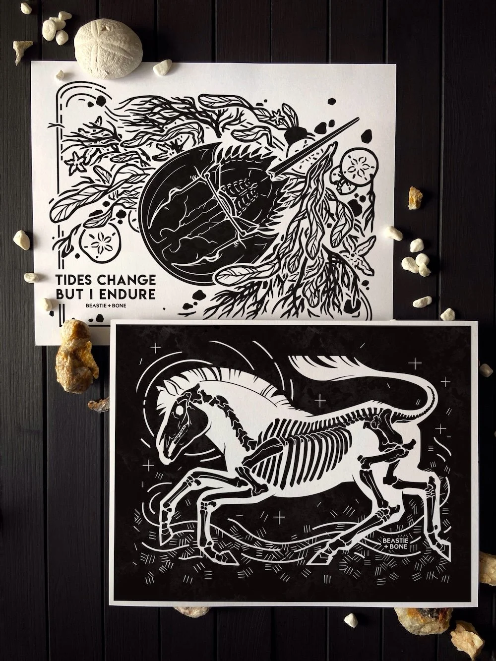 2026 Limited Patreon 11x14 Prints Flatlay Web.JPG