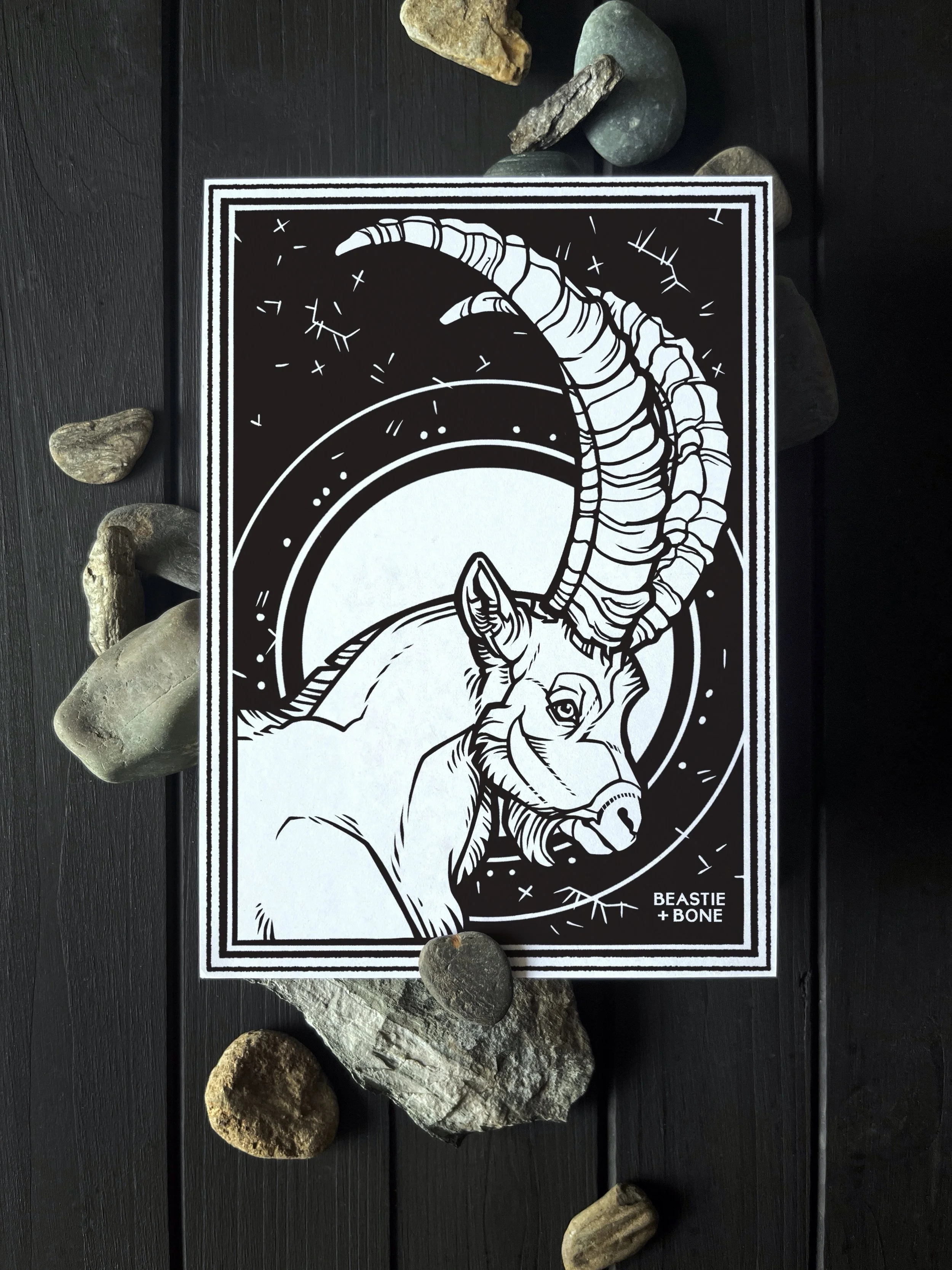 Radiant Protection Miniprint Flatlay.JPG