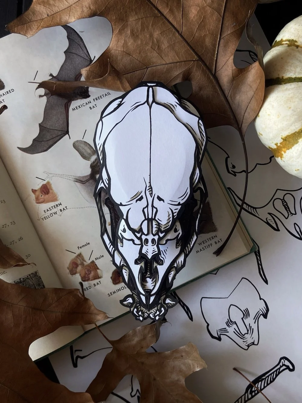 Product Downloadable Kit Stock's Vampire Bat Skull Flatlay Closeup.jpg