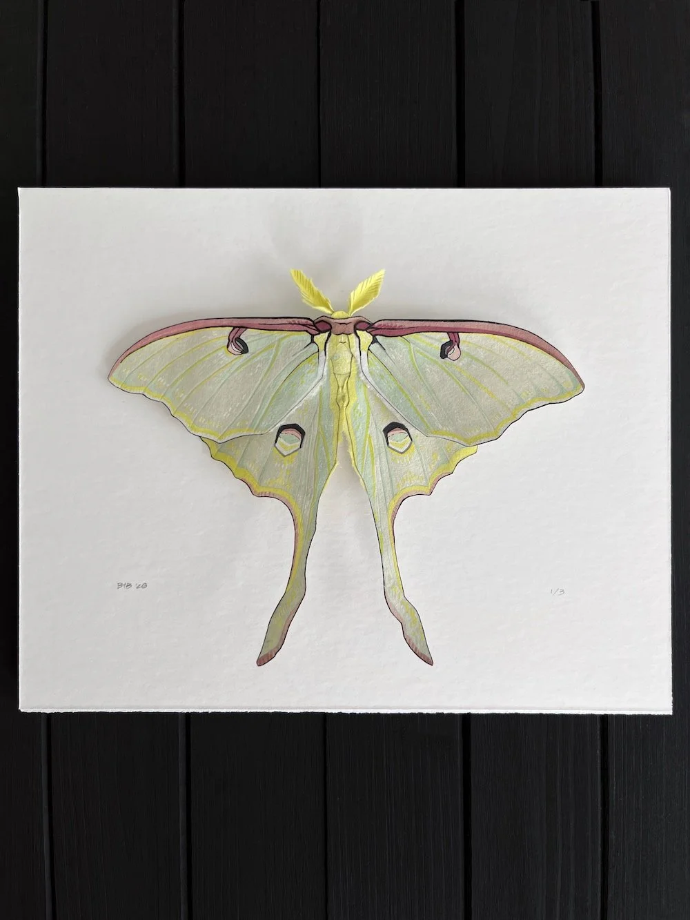 Lunar Fade I Mounted.jpg