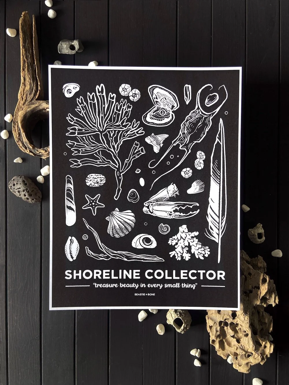 Shoreline Collector 11x14 Flatlay.jpg