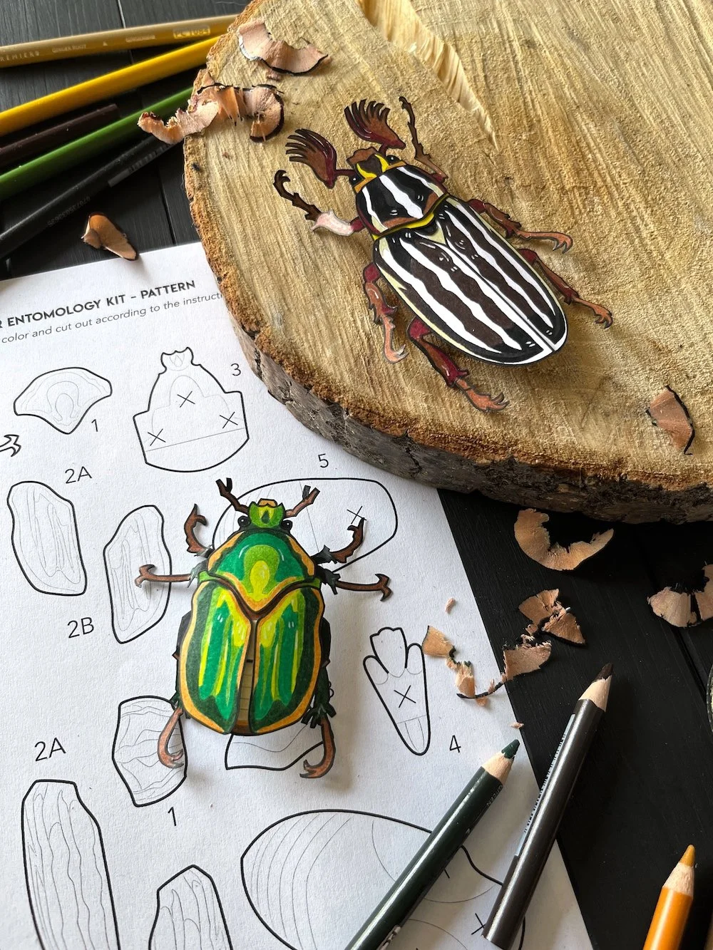 Junebugs Kit Flatlay 5.jpg