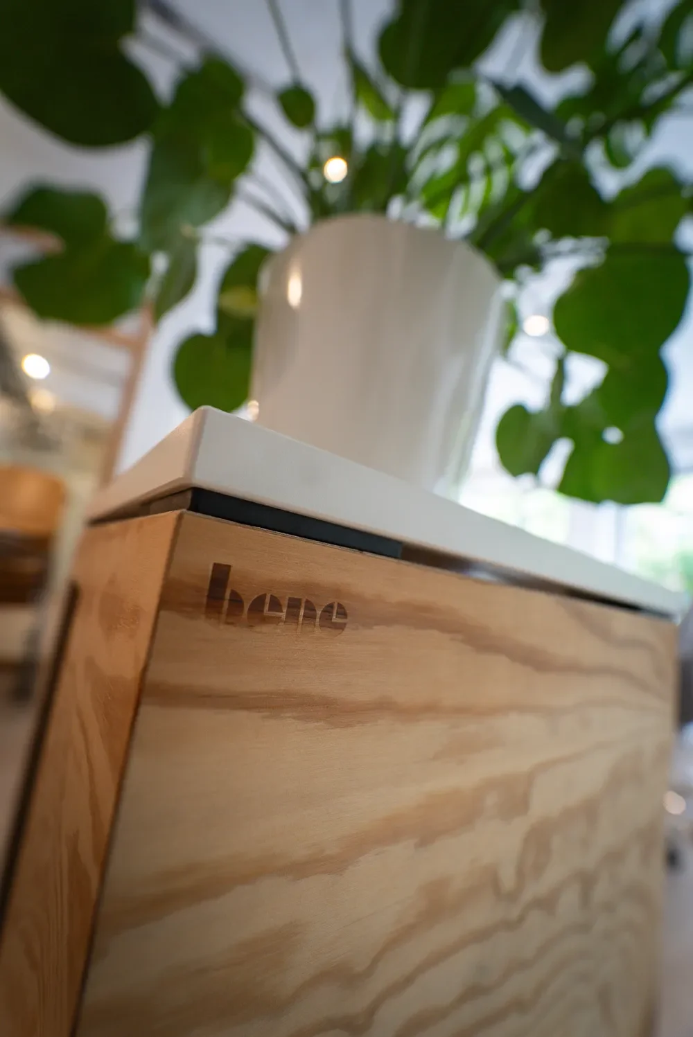 Nahaufnahme eines Holzregals mit einer weißen Vase oder Topf auf einem weißen Tablett, im Hintergrund grüne Blätter einer Pflanze.