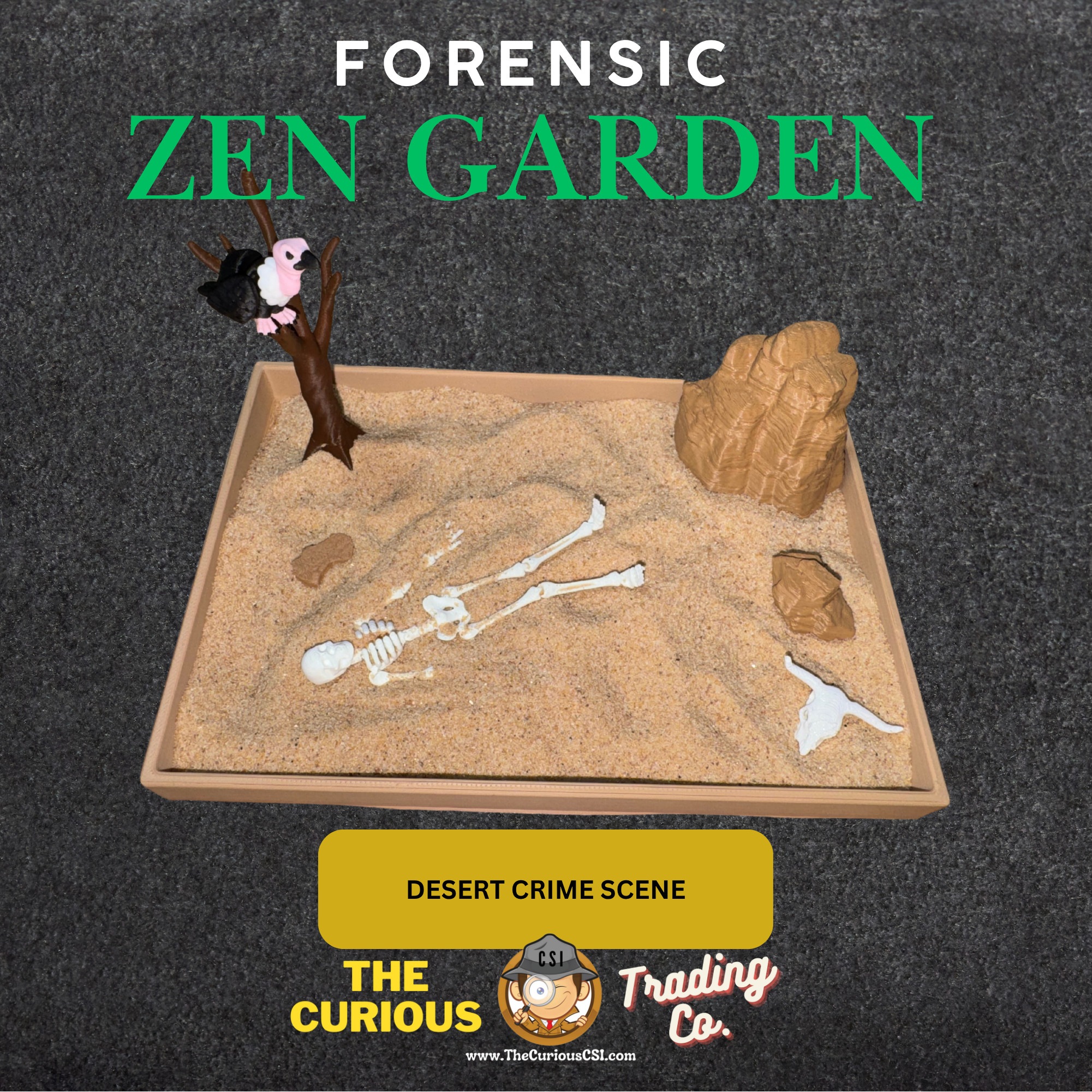 Desert Zen Garden Mockup 1.png