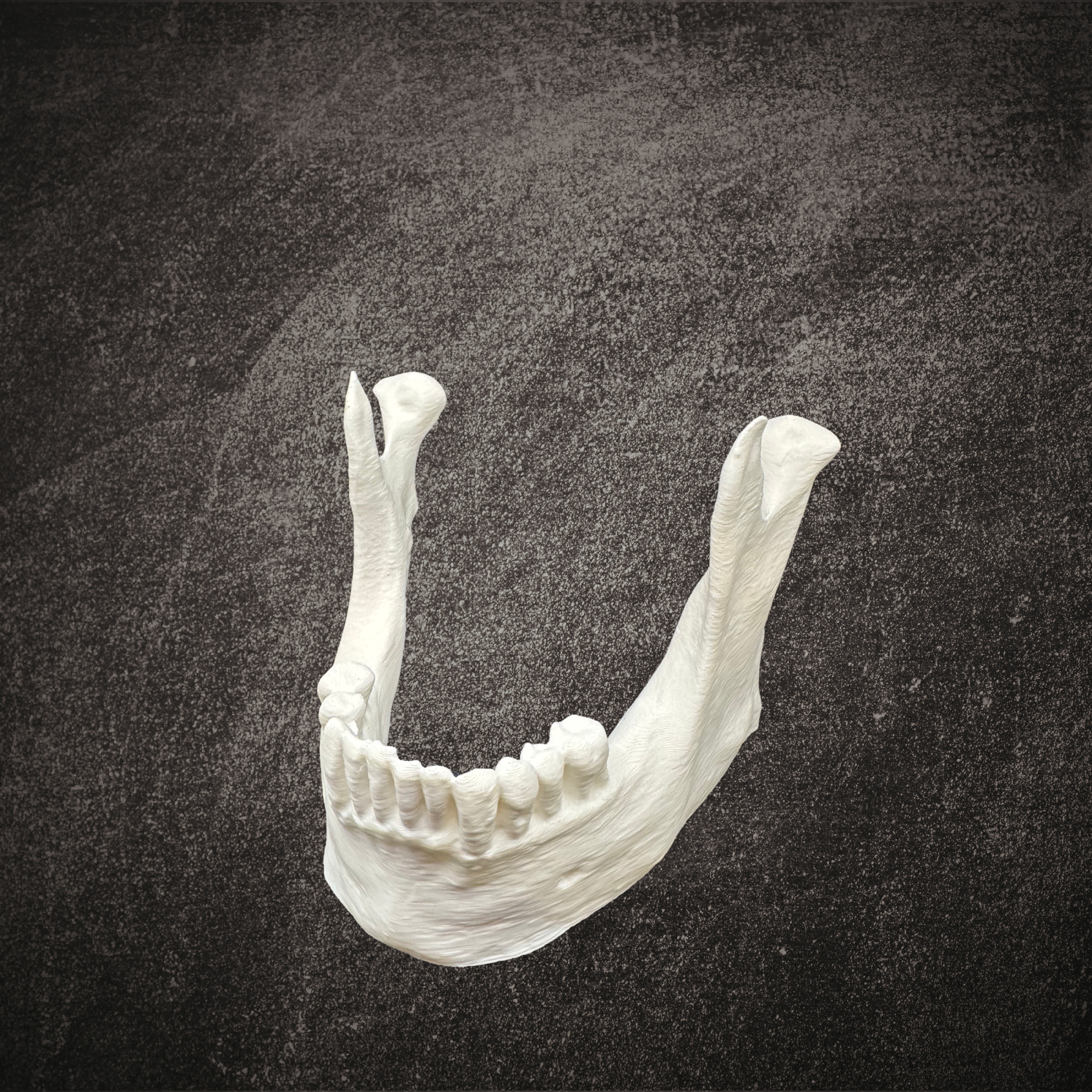 Mandible Business Card Holder Mockup 1.png