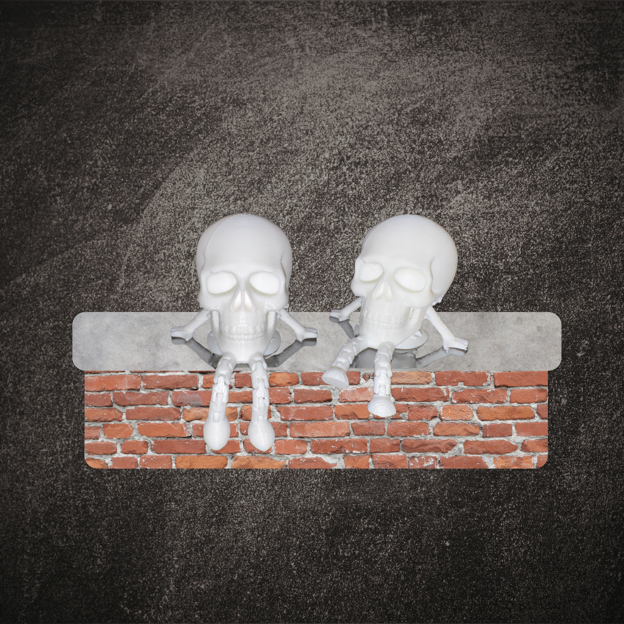 Skull Buddies Mockup 2.png