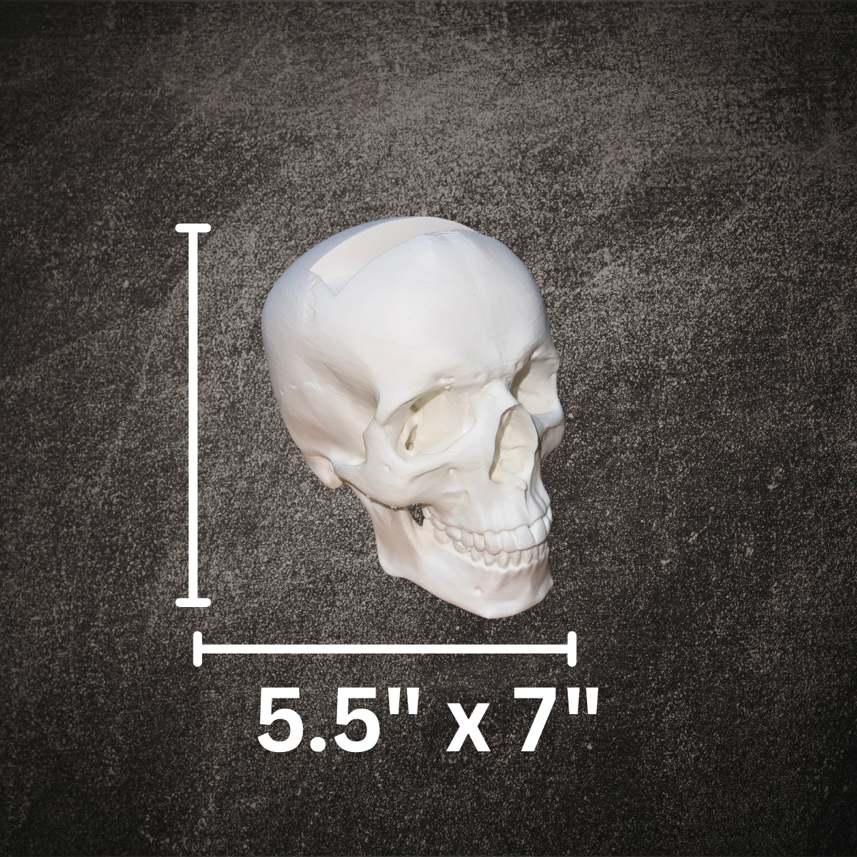Skull Business Card Holder Mockup 3.png