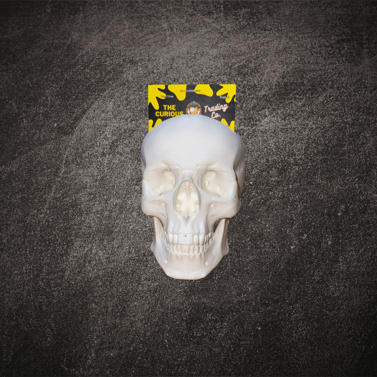 Skull Business Card Holder Mockup 2.png