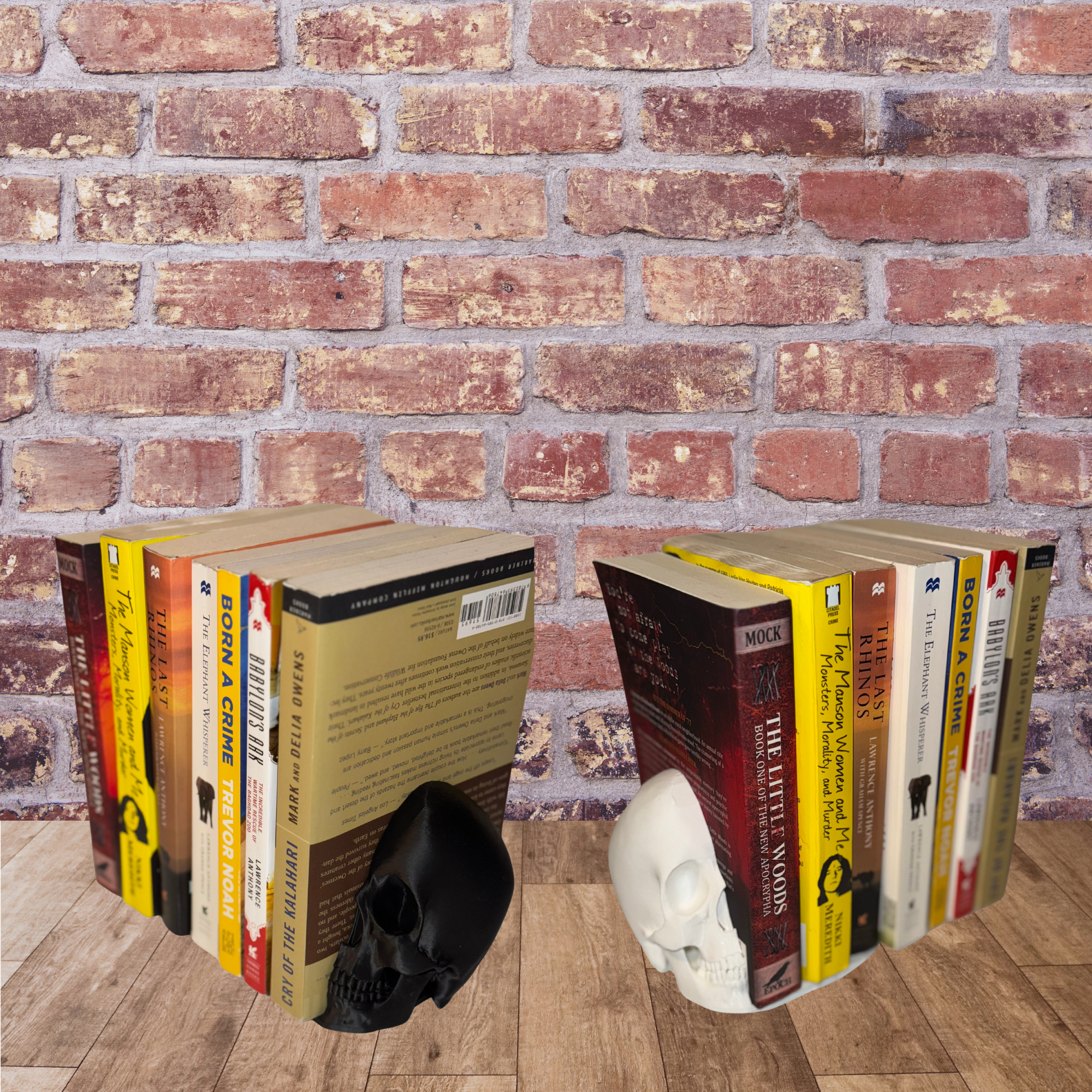 Skull Bookends 4.png