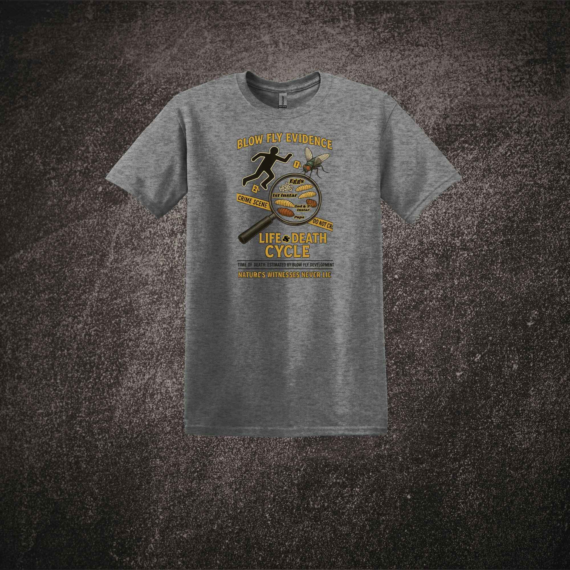 Life Cycle of a Blowfly - SS Tee Graphite Heather.png